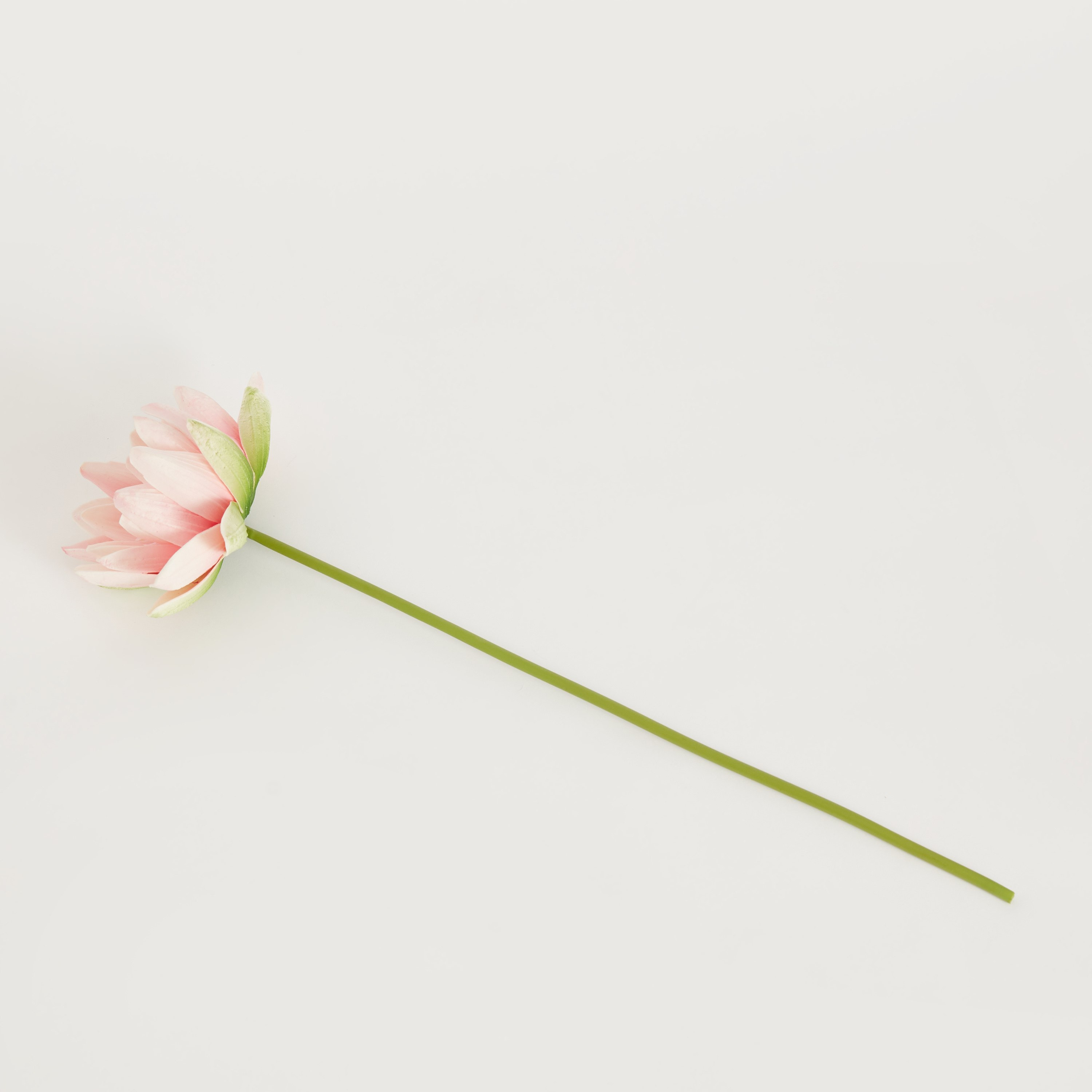 غصن زهرة اللوتس من آريا - 51 سم-hbxdecorandfurnishings-homeaccessories-artificialflowersandplants-image-5