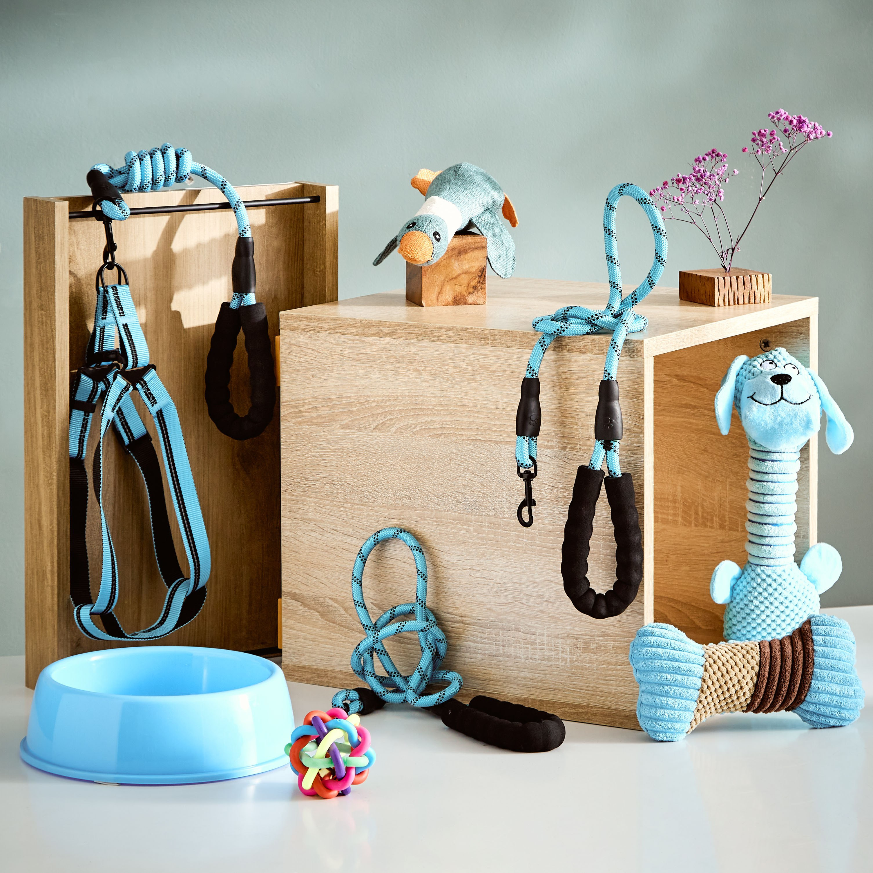 Playful Harness and Leash Nylon Traction Chest Strap for Pet - 120x2.5 cm-hbxdecorandfurnishings-petaccessories-petsupplies-image-4
