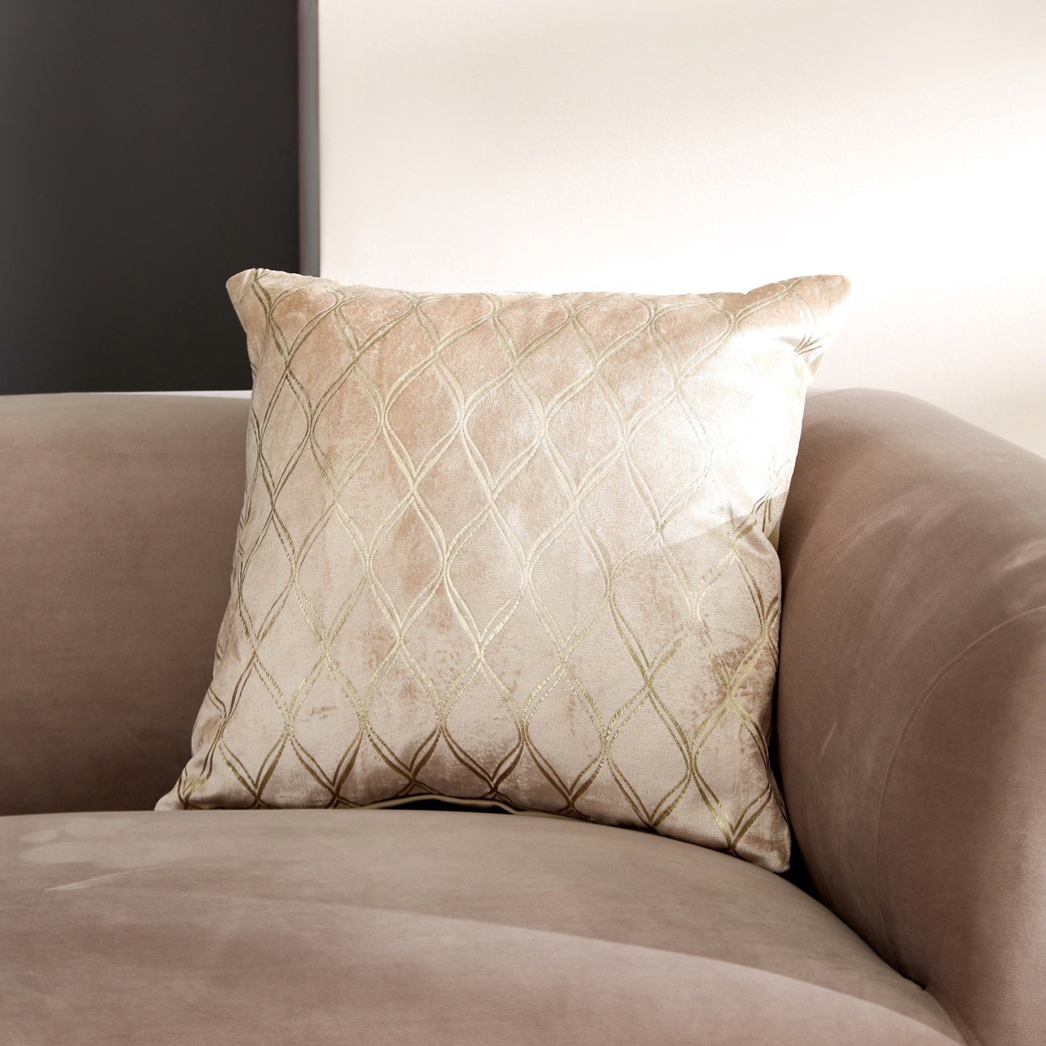 Buy velvet best sale cushions online