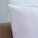 Dove Filled Cushion - 65x65 cm-Filled Cushions-thumbnail-1