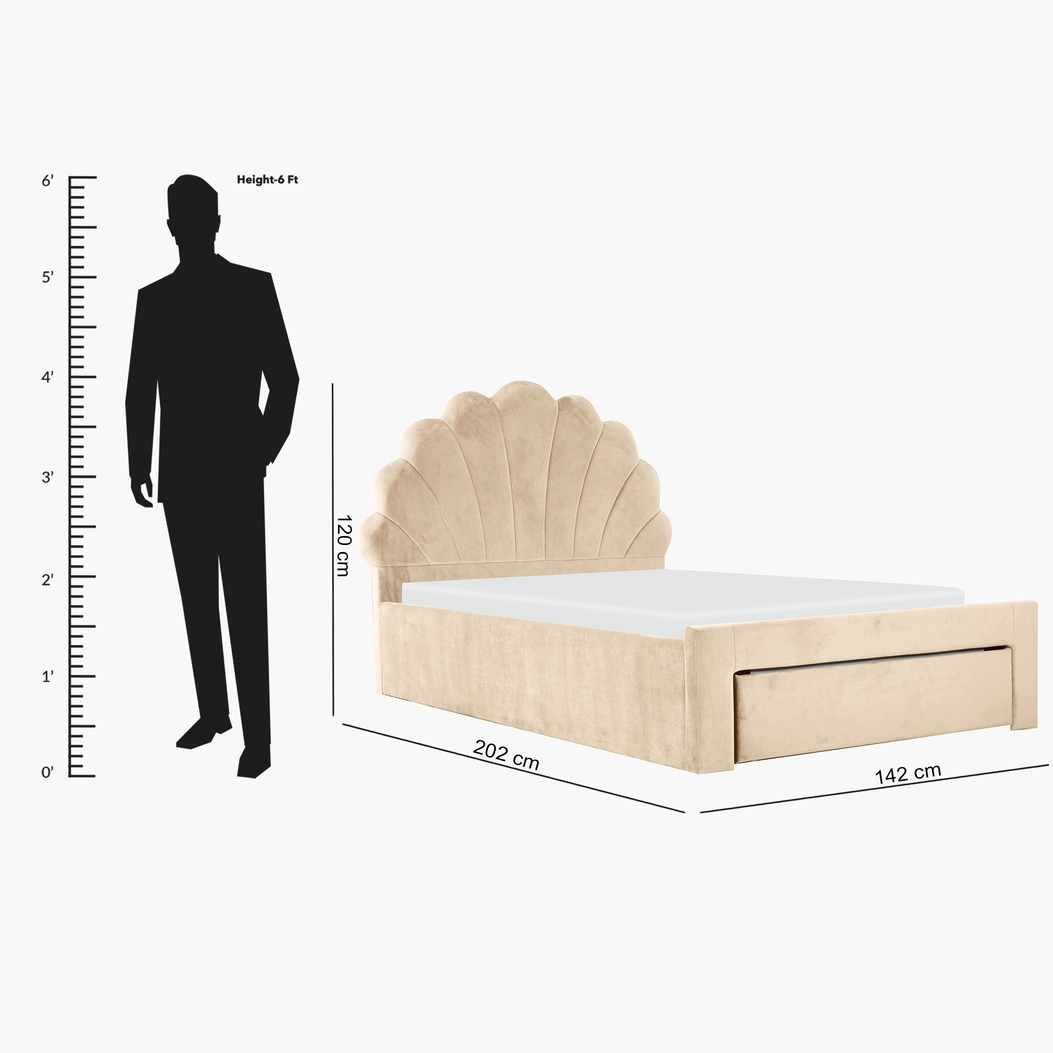 سرير مزدوج منجّد بتصميم صدفة ودرج من هالمستاد - 120x200 سم-hbxfurniture-kidsroom-kidsroomsets-twin-image-6