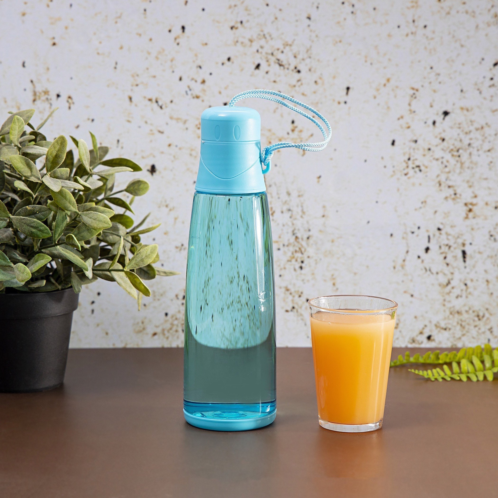 قارورة مياه من رويال - 520 مل-hbxhomeware-hbxkitchen-image-2