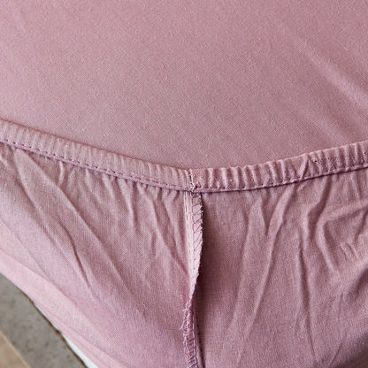 Wellington Solid Cotton Single Fitted Sheet - 90x200+25 cms