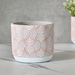 Olive Cement Garden Pot with Hexagonal Etching - 14x14x12 cm-Planters and Urns-thumbnail-0