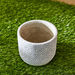 Olive Hexagonal Etched Cement Garden Pot - 14x14x12 cm-Planters and Urns-thumbnailMobile-1