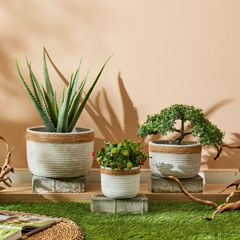 Olive Cement Garden Pot with Rope - 14x14x12 cm-Artificial Flowers and Plants-image-3