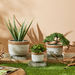 Olive Cement Garden Pot with Rope - 14x14x12 cm-Artificial Flowers and Plants-thumbnail-3