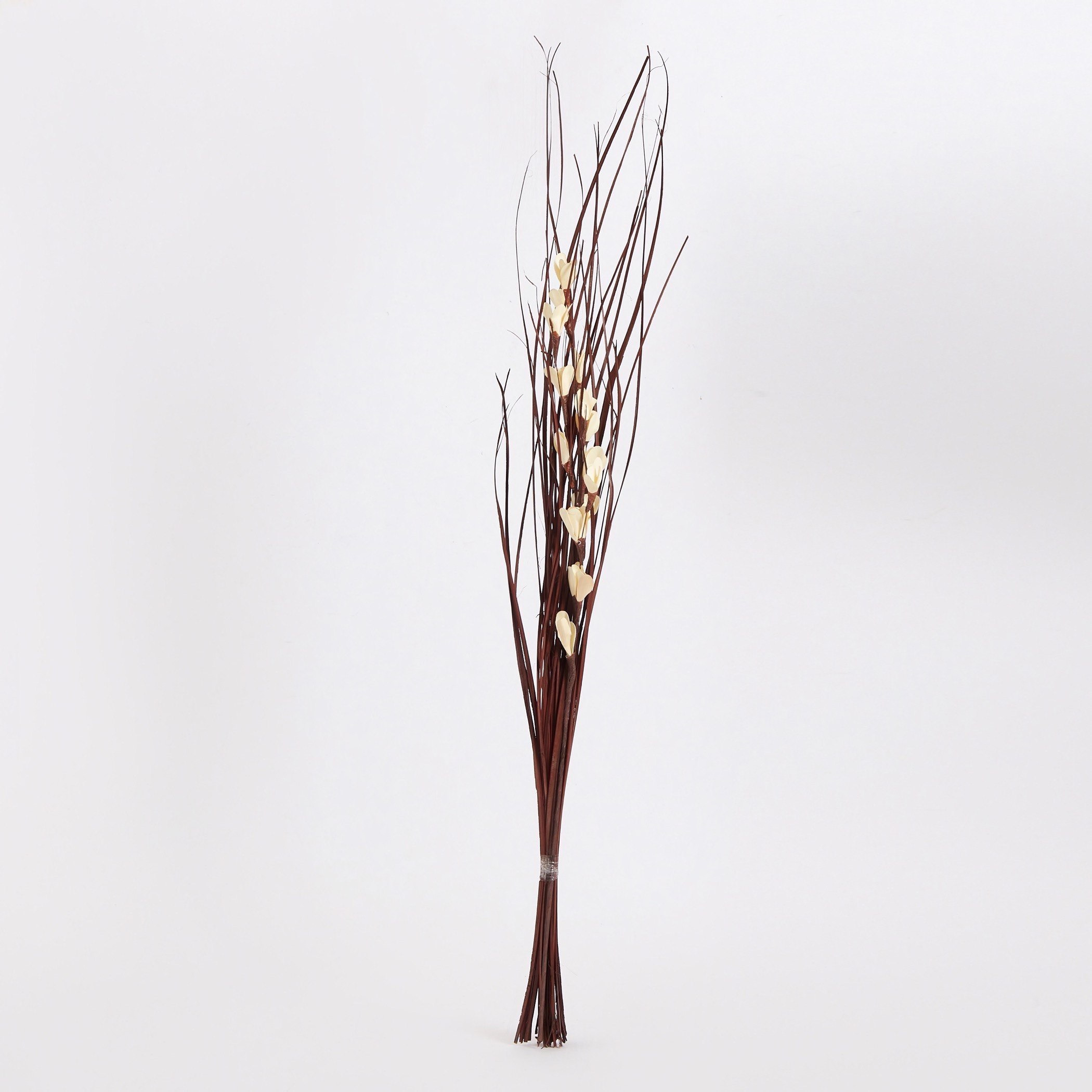 عيدان مزهرية للزينة من أروين - 100 سم-hbxdecorandfurnishings-homeaccessories-artificialflowersandplants-image-5