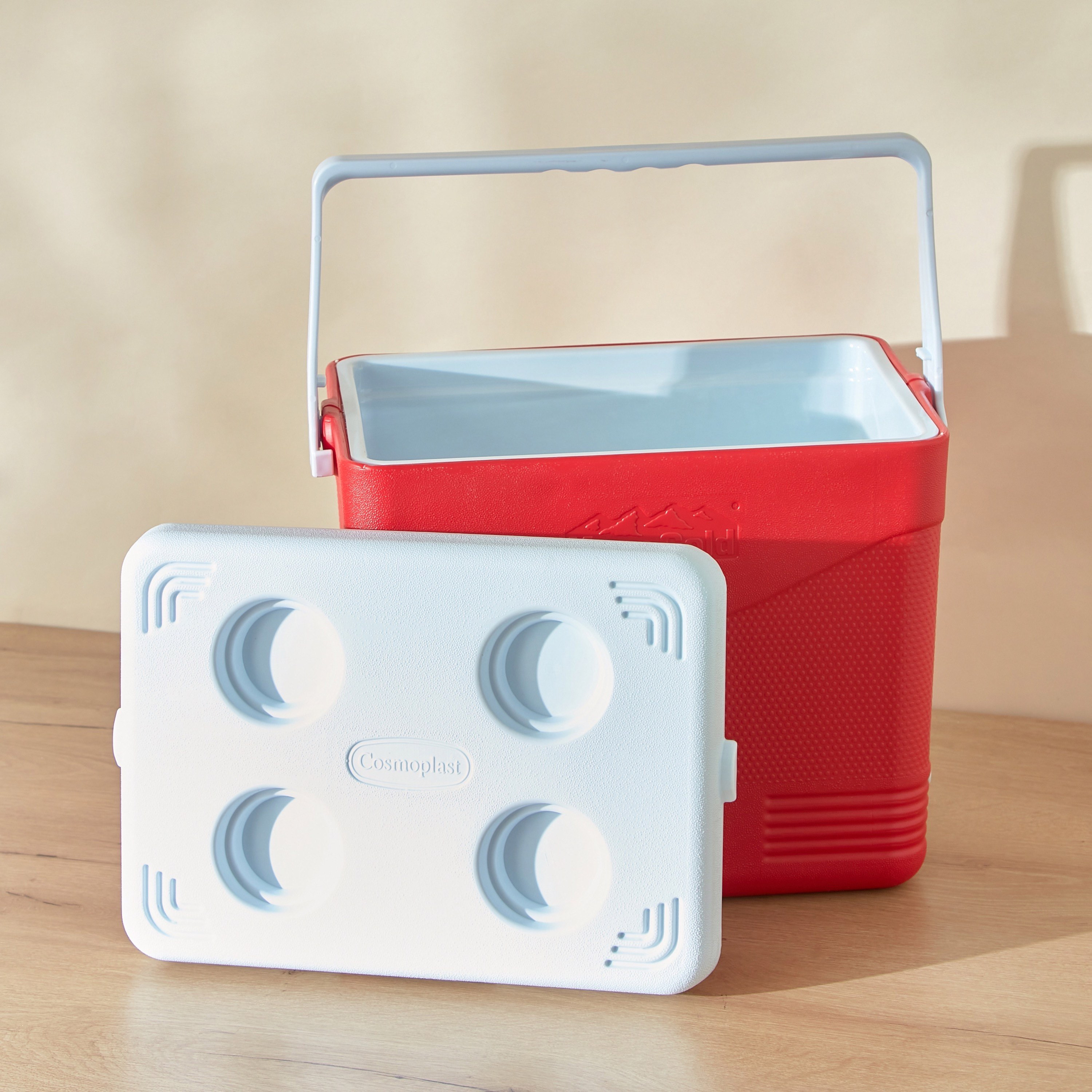 Keep Cold Picnic Icebox - 24 L-hbxhomeware-hbxkitchen-image-3
