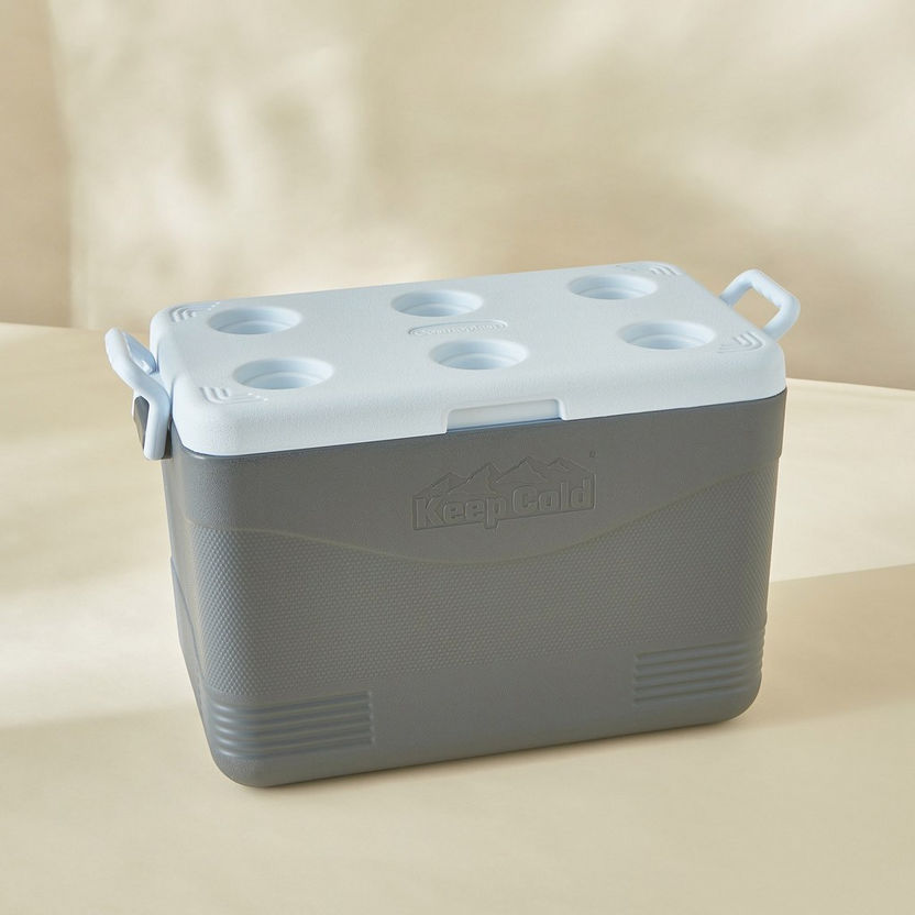 Keep Cold Picnic Icebox - 46 L-Containers & Jars-image-1