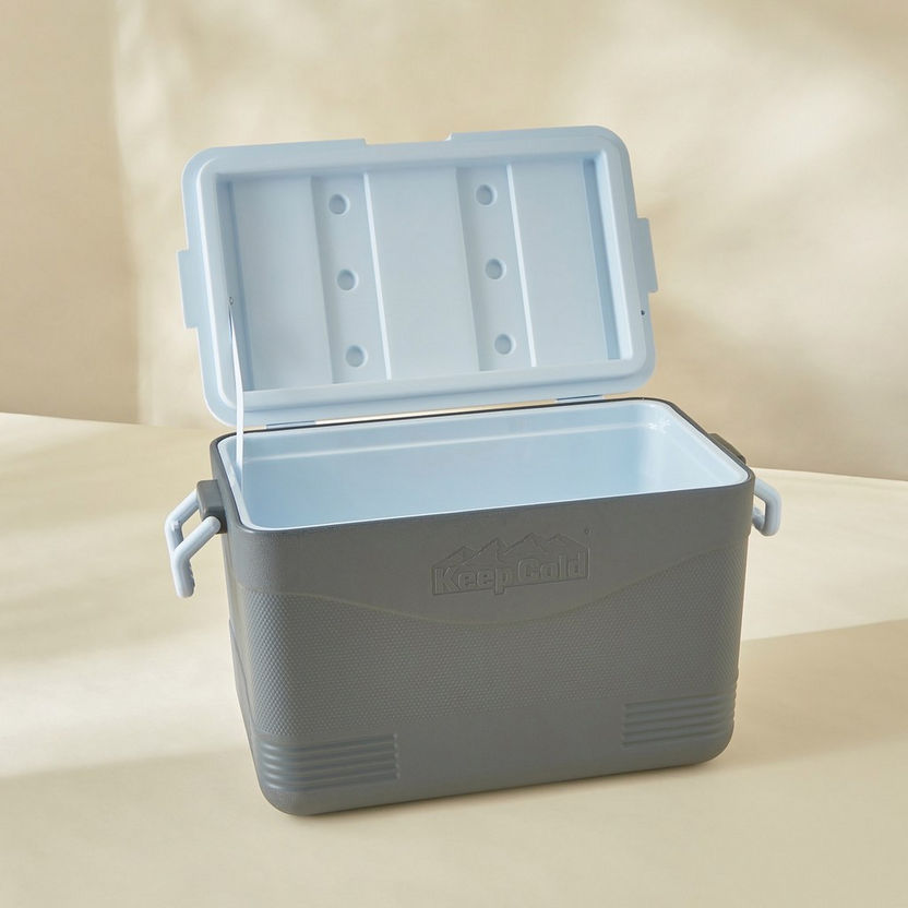 Keep Cold Picnic Icebox - 46 L-Containers & Jars-image-2