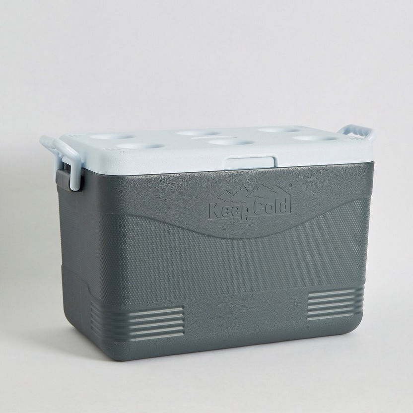 Keep Cold Picnic Icebox - 46 L-Containers & Jars-image-6