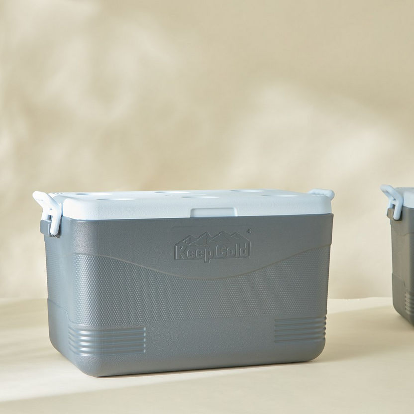 Keep Cold Picnic Icebox - 60 L-Containers and Jars-image-0