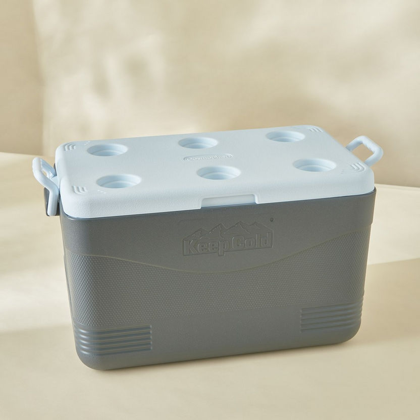 Keep Cold Picnic Icebox - 60 L-Containers and Jars-image-1