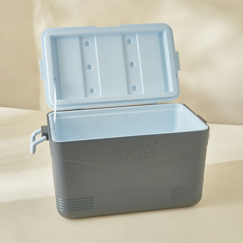 Keep Cold Picnic Icebox - 60 L-Containers and Jars-image-2