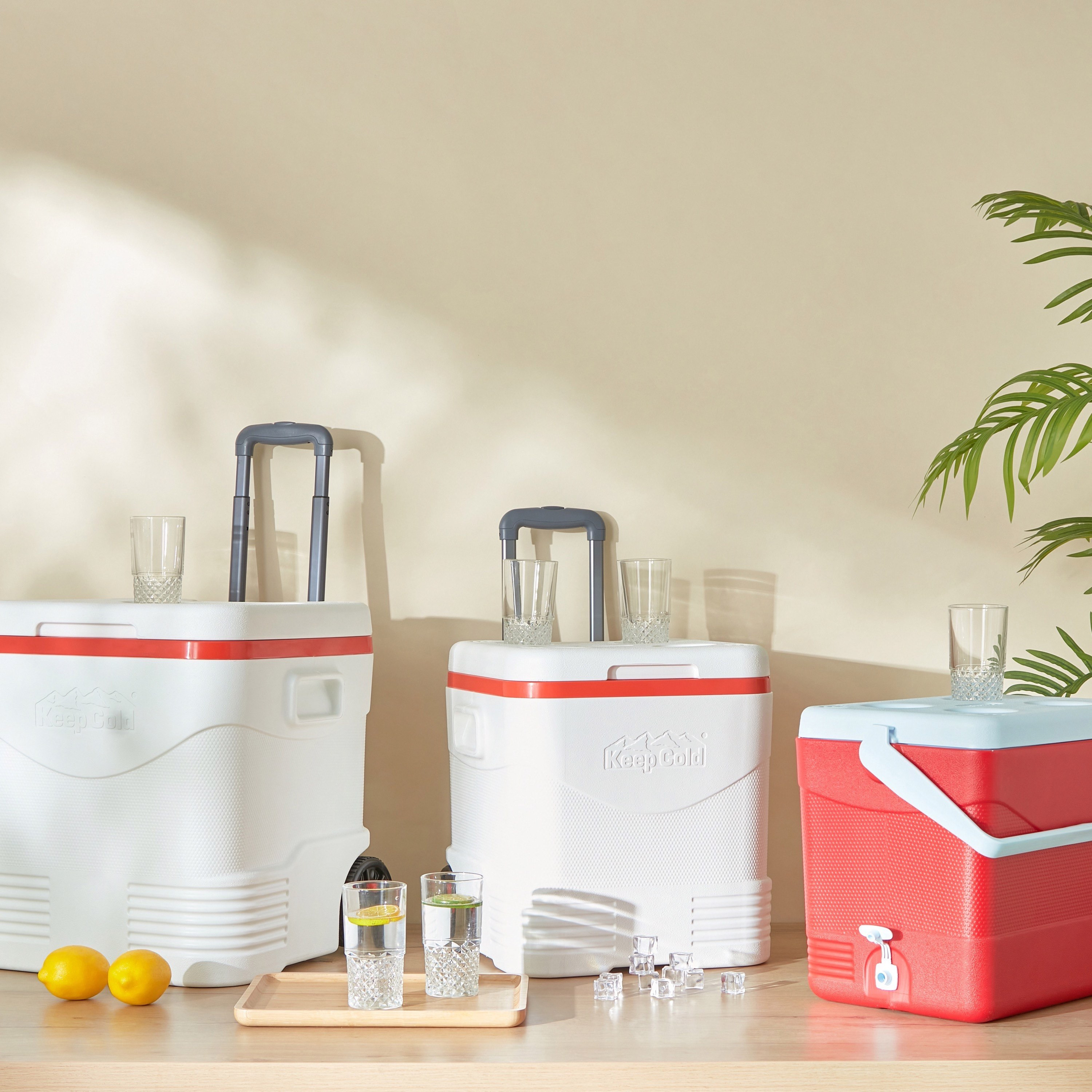 صندوق ثلج ترولي للرحلات من كيب كولد - 45 لتر-hbxhomeware-hbxkitchen-image-6