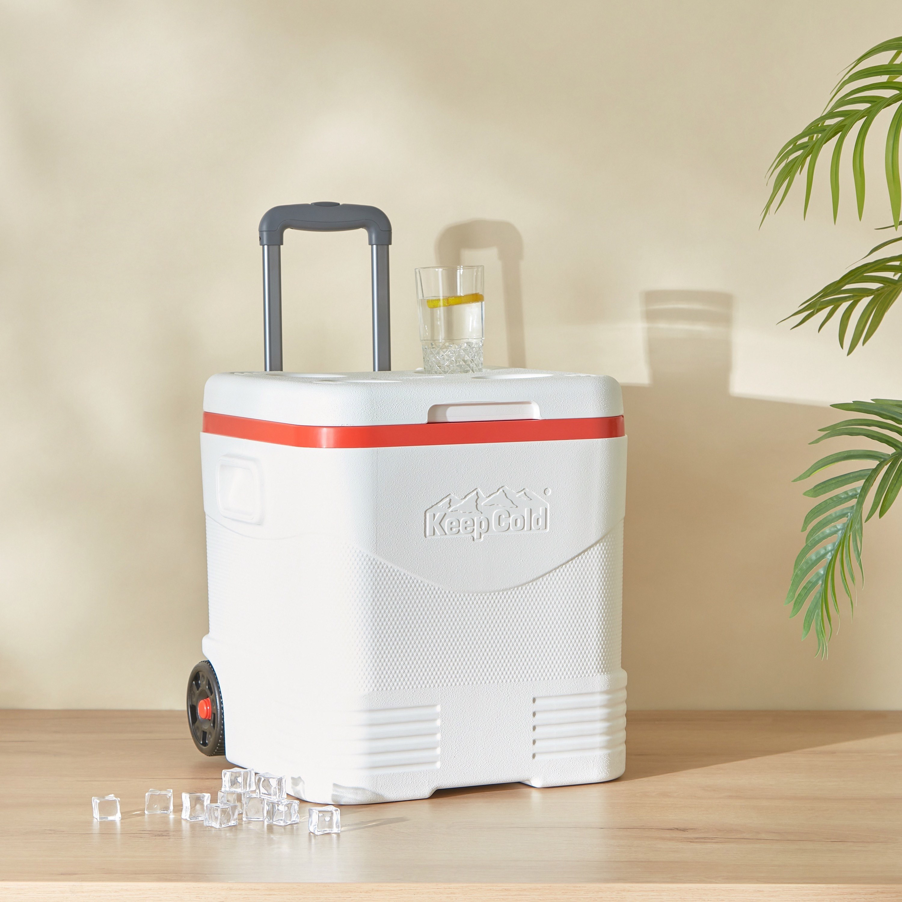 صندوق ثلج ترولي للرحلات من كيب كولد - 30 لتر-hbxhomeware-hbxkitchen-image-1