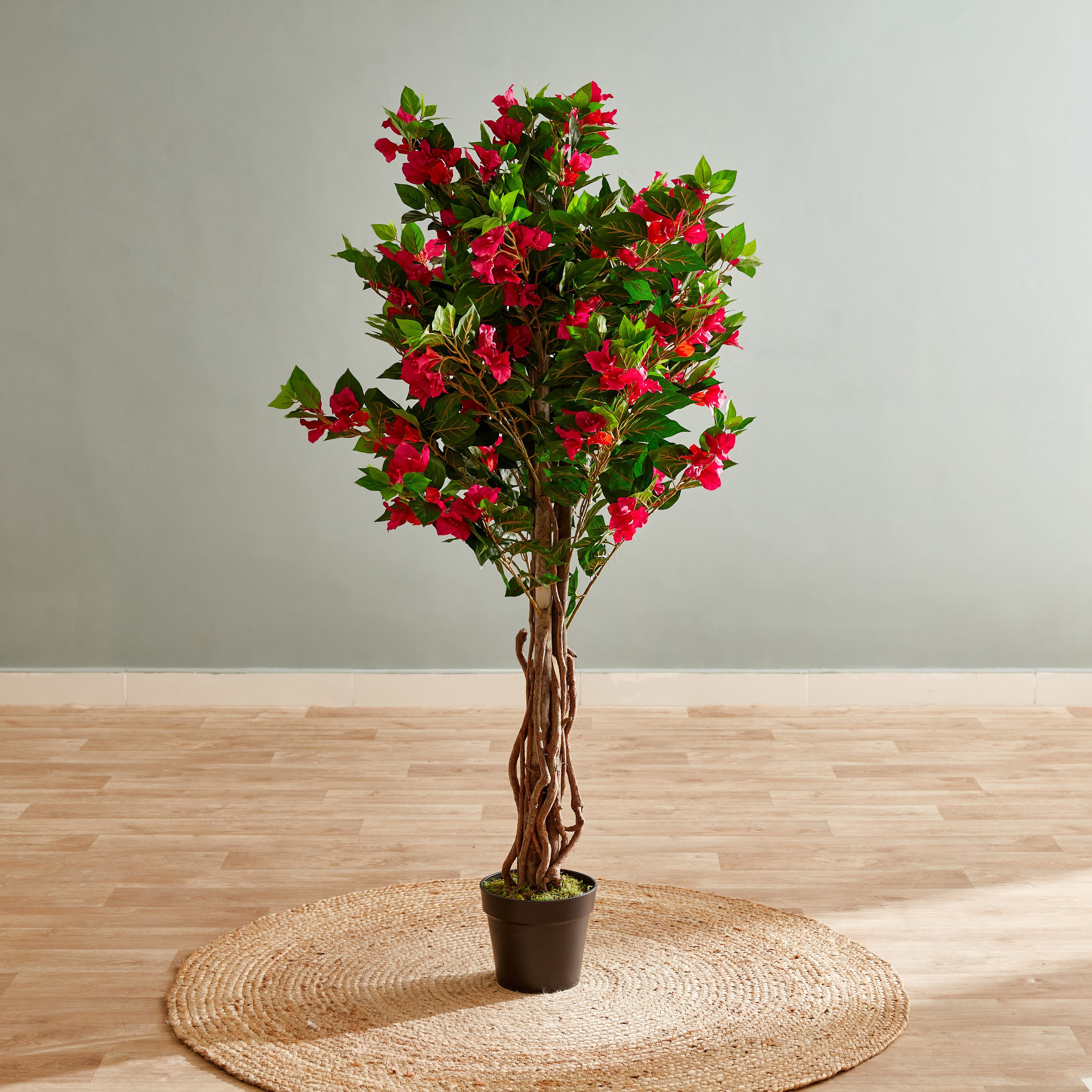 نبات الجهنمية في إناء زرع من سيارا - 150 سم-hbxdecorandfurnishings-homeaccessories-artificialflowersandplants-image-1