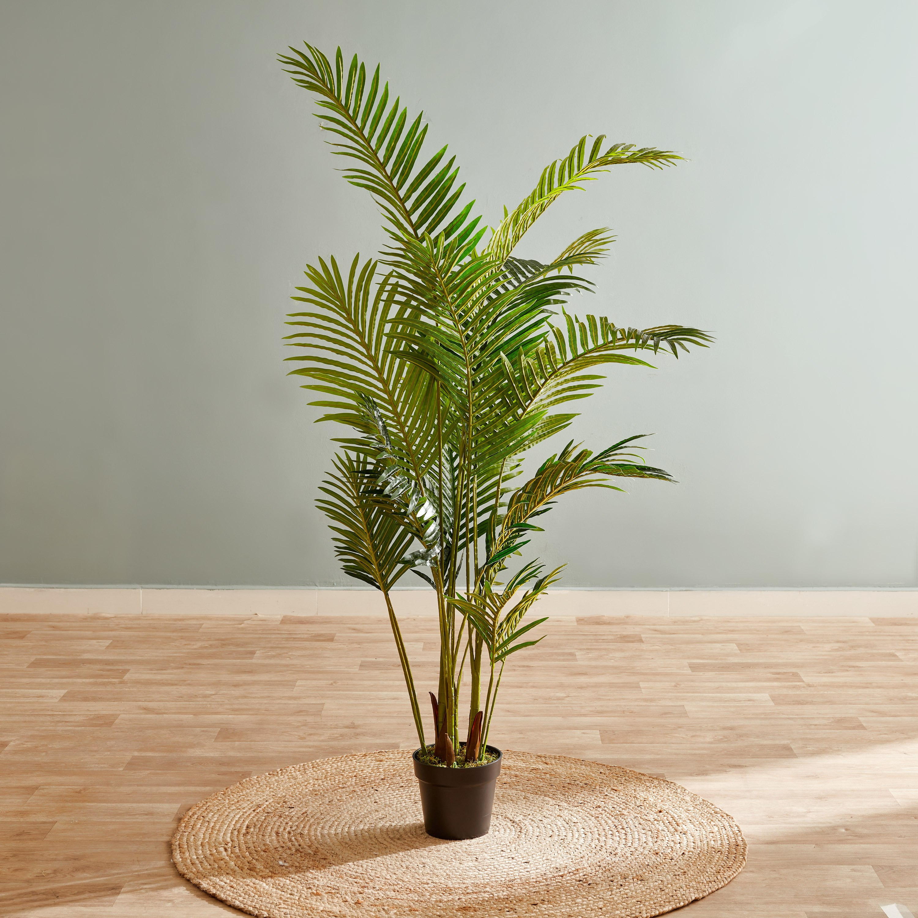 نخلة أريكا في إناء زرع من سيارا - 160 سم-hbxdecorandfurnishings-homeaccessories-artificialflowersandplants-image-1