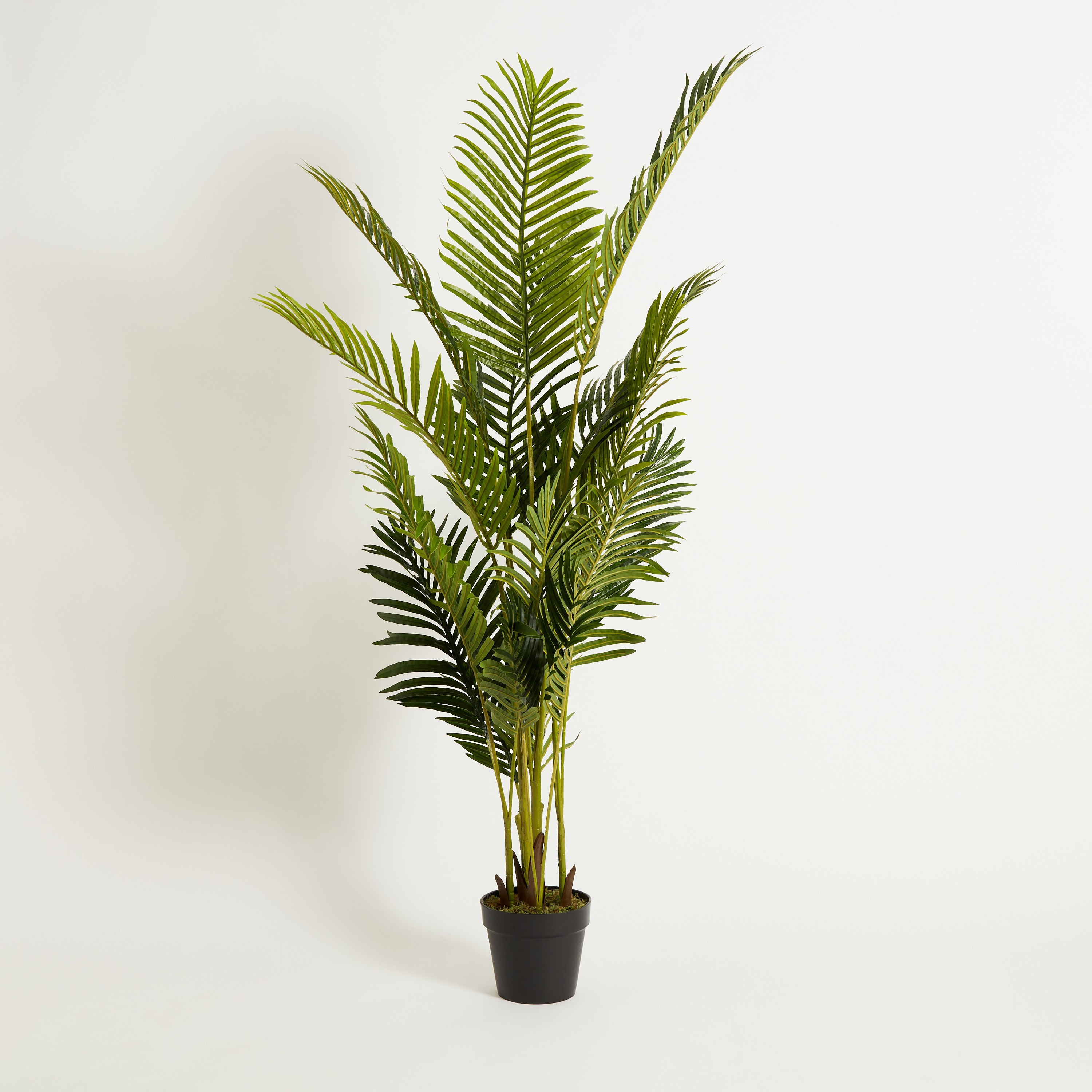 نخلة أريكا في إناء زرع من سيارا - 160 سم-hbxdecorandfurnishings-homeaccessories-artificialflowersandplants-image-5