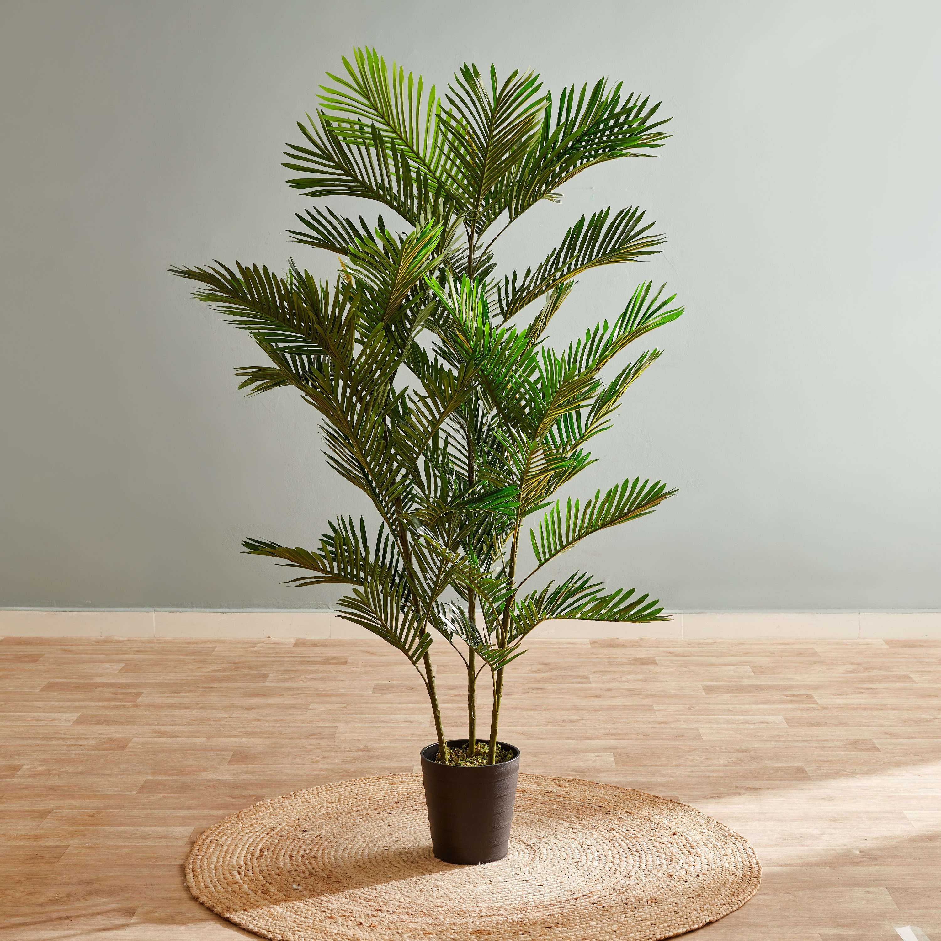 نخلة صغيرة في إناء زرع من سيارا - 180 سم-hbxdecorandfurnishings-homeaccessories-artificialflowersandplants-image-1