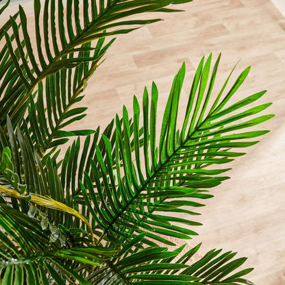 Cyara Mini Palm Tree with Pot - 180 cms