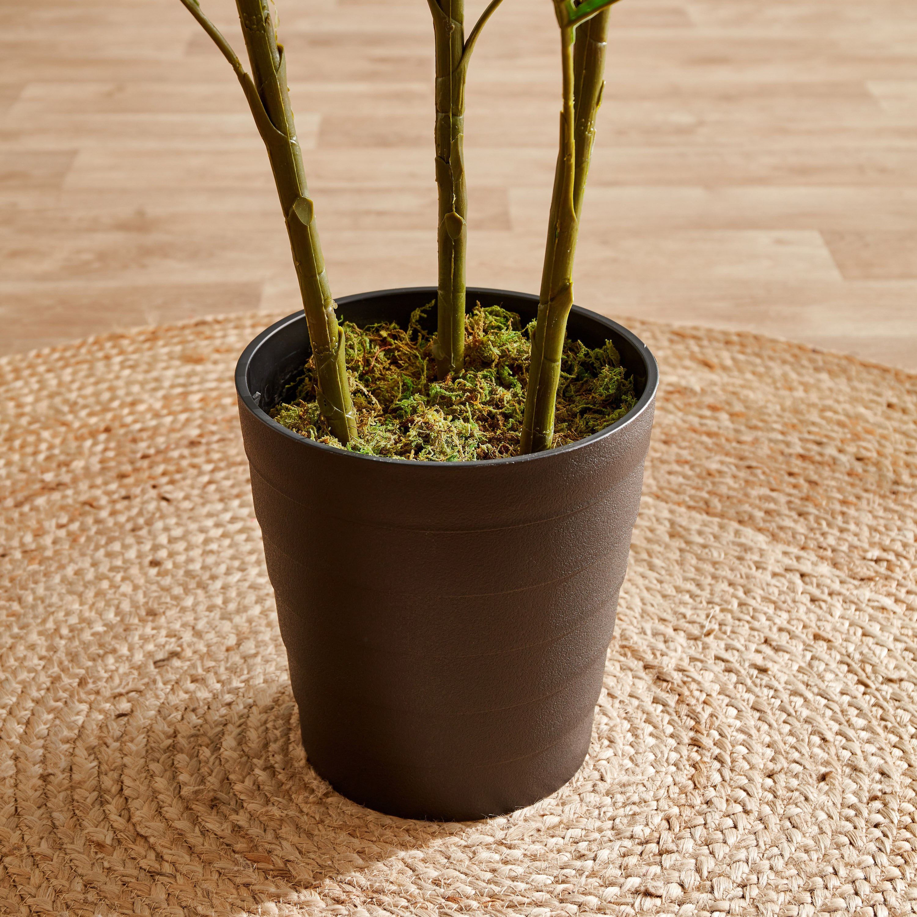 نخلة صغيرة في إناء زرع من سيارا - 180 سم-hbxdecorandfurnishings-homeaccessories-artificialflowersandplants-image-3