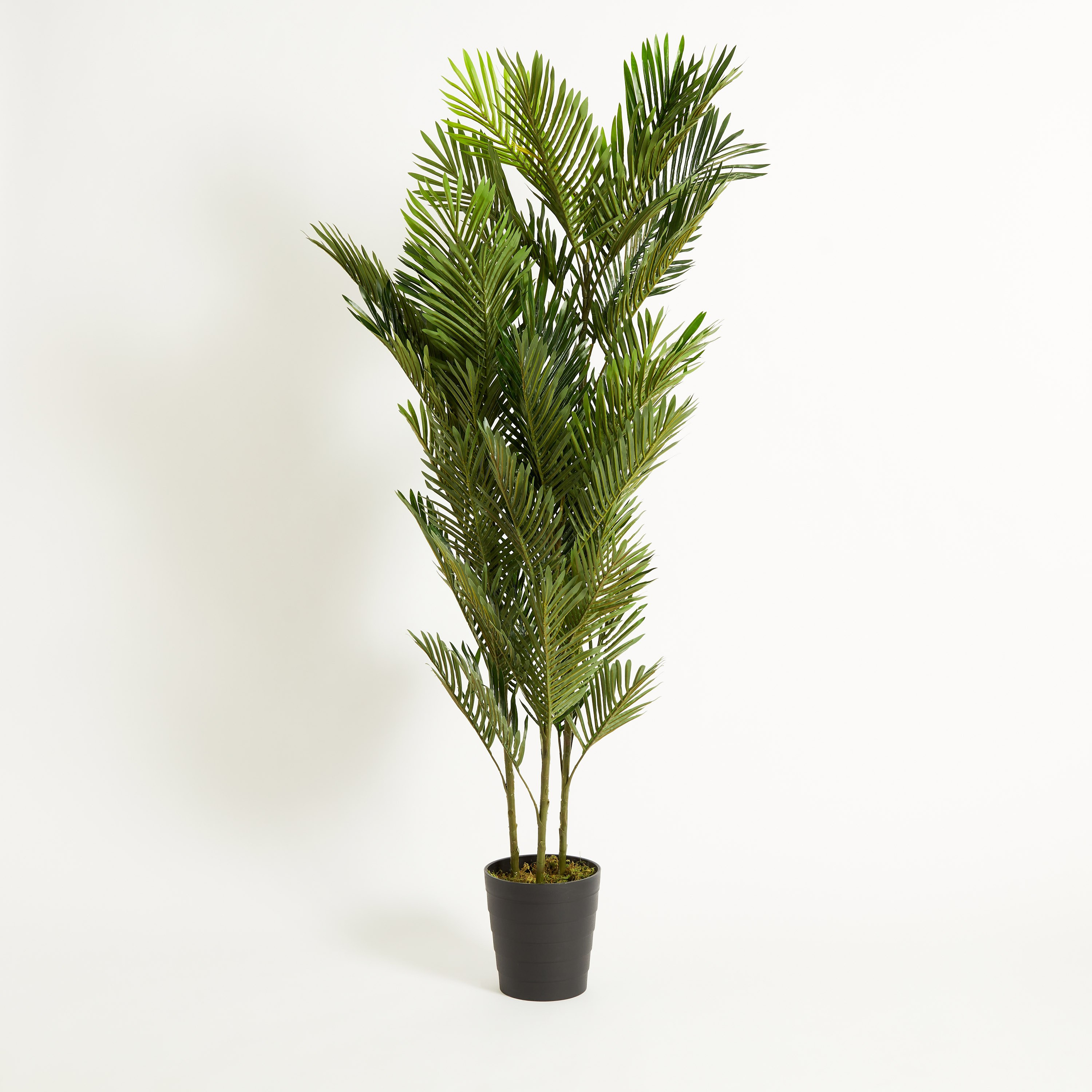 نخلة صغيرة في إناء زرع من سيارا - 180 سم-hbxdecorandfurnishings-homeaccessories-artificialflowersandplants-image-5