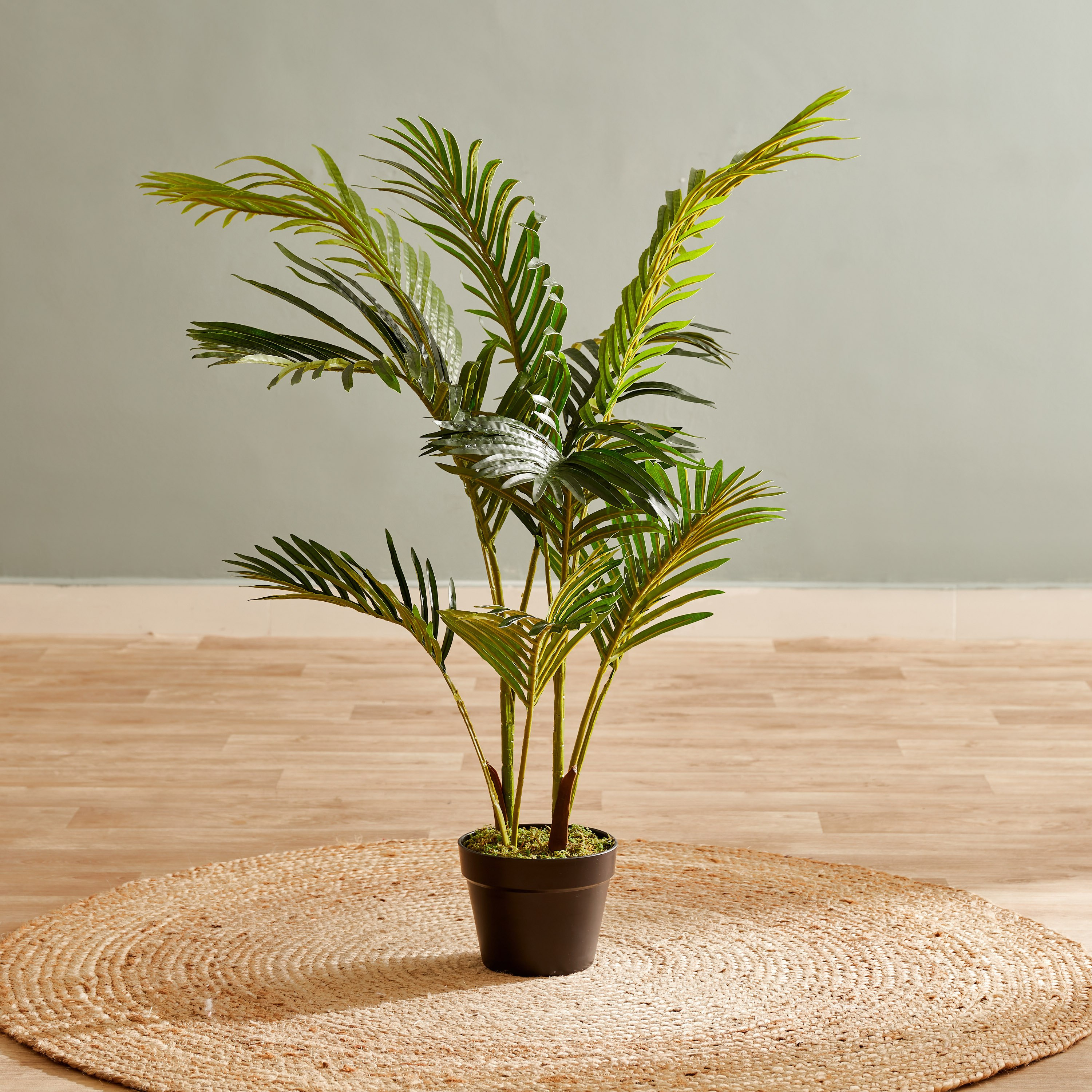 نخلة أريكا في إناء زرع من سيارا - 100 سم-hbxdecorandfurnishings-homeaccessories-artificialflowersandplants-image-1