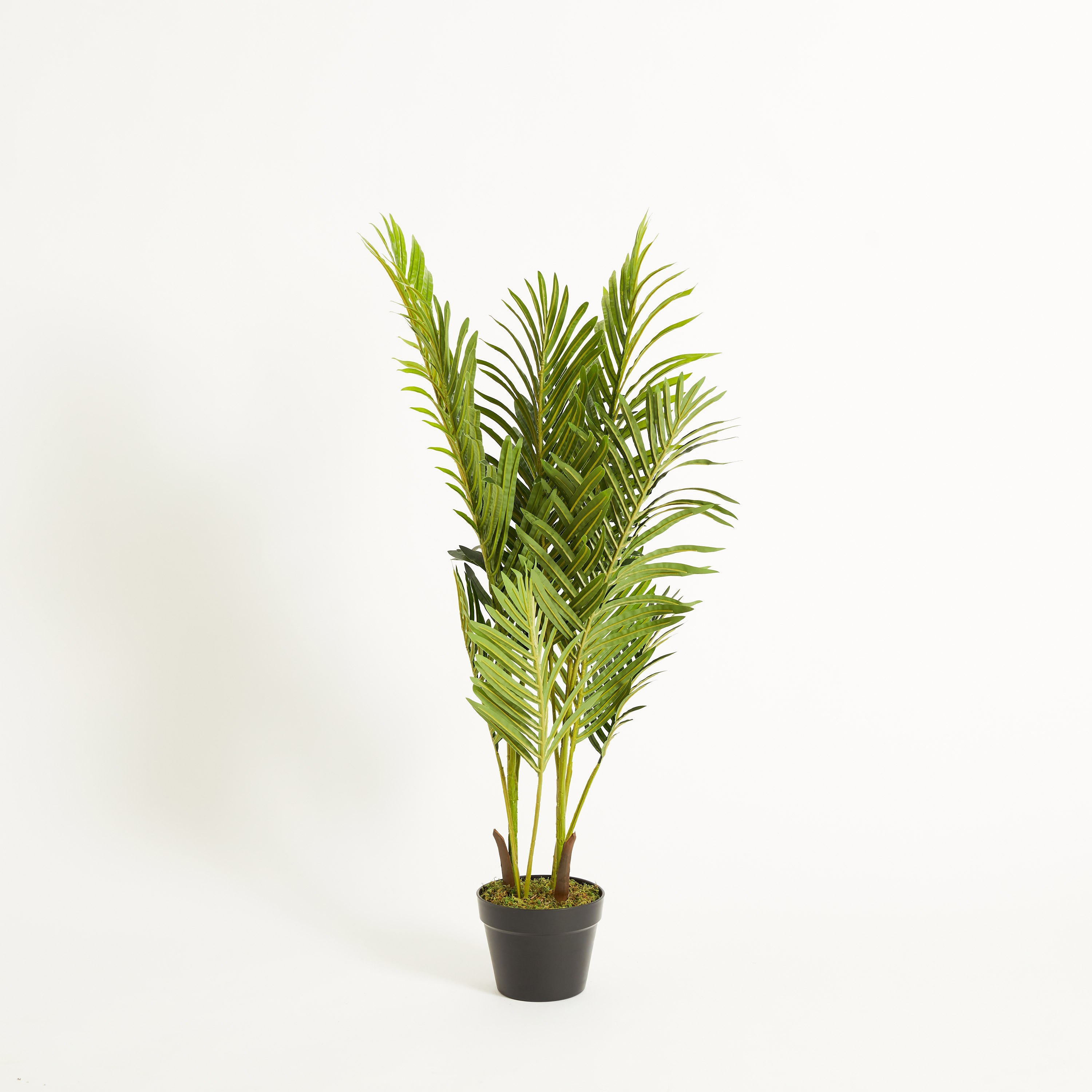 نخلة أريكا في إناء زرع من سيارا - 100 سم-hbxdecorandfurnishings-homeaccessories-artificialflowersandplants-image-5