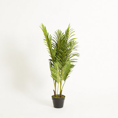 Cyara Areca Palm Tree with Pot - 100 cms