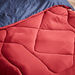 Derby 2-Piece Reversible Microfibre Single Comforter Set - 135x220 cm-Comforter Sets-thumbnail-4