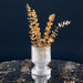 Atlanta Ribbed Inverted Clear Glass Vase - 12x18 cm-Vases-thumbnailMobile-0