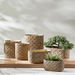 Olive Self Pattern Wide Cement Garden Pot - 24x12x12 cm-Planters and Urns-thumbnailMobile-3