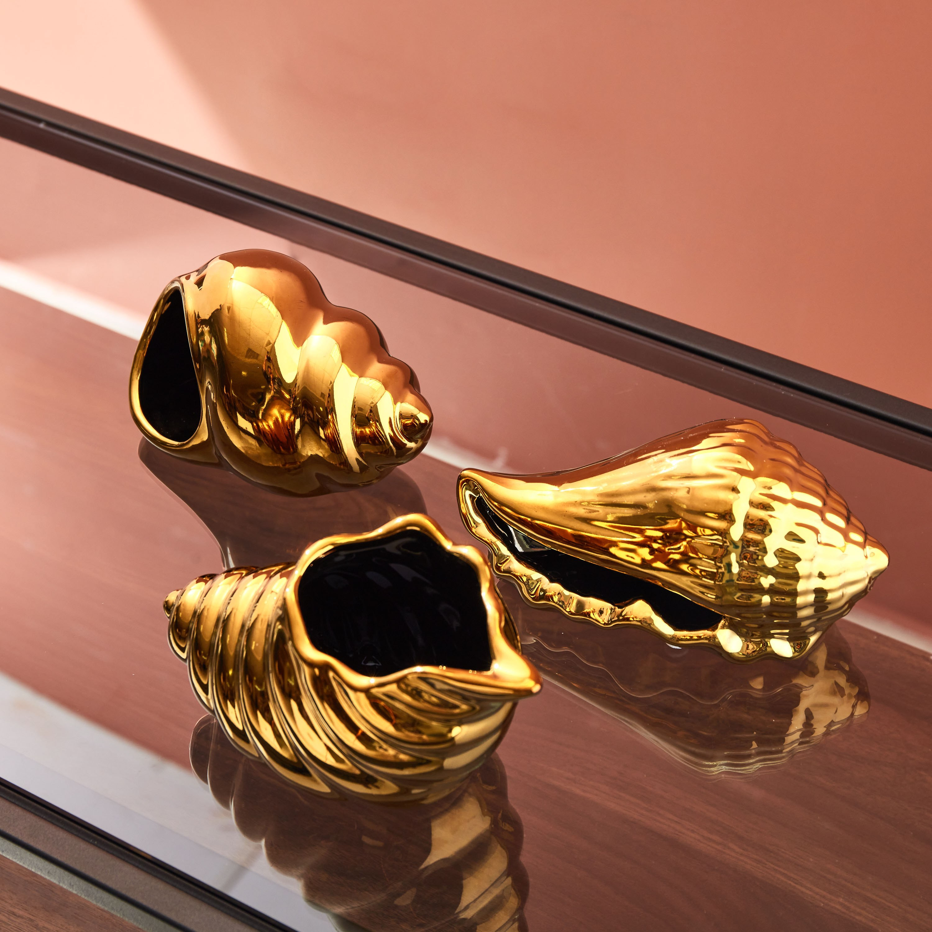 Glide 3-Piece Conch Accent Set-hbxhomeware-homedecor-figurinesandornaments-image-3