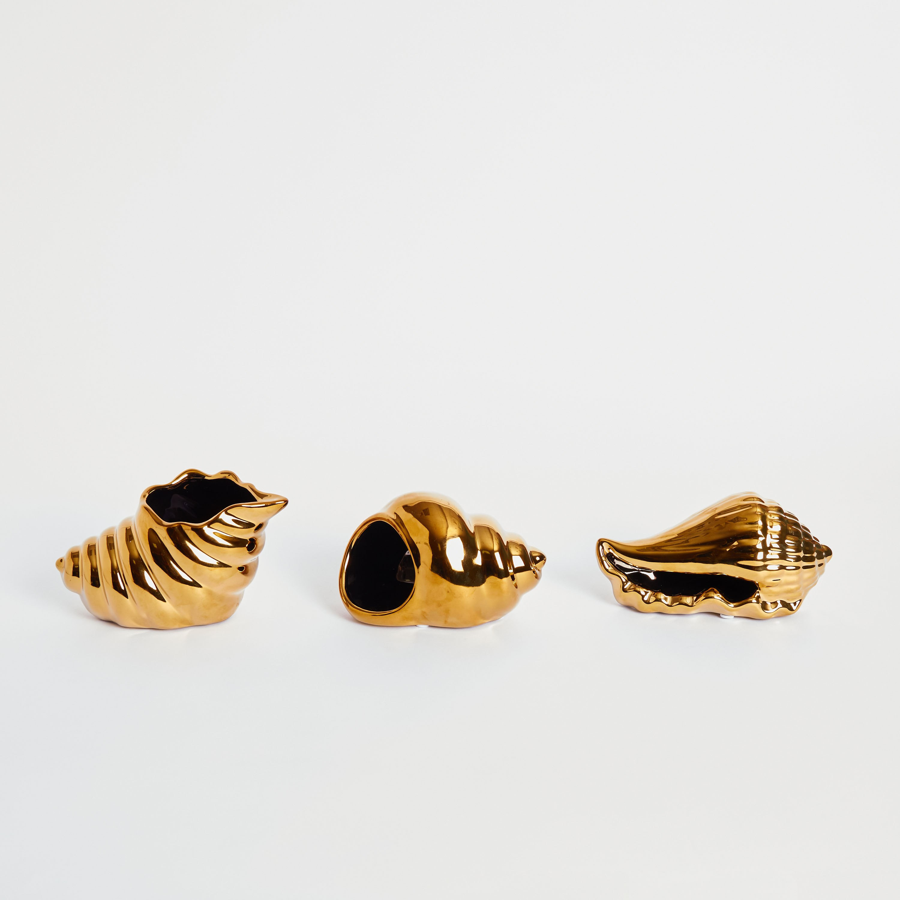 Glide 3-Piece Conch Accent Set-hbxhomeware-homedecor-figurinesandornaments-image-5