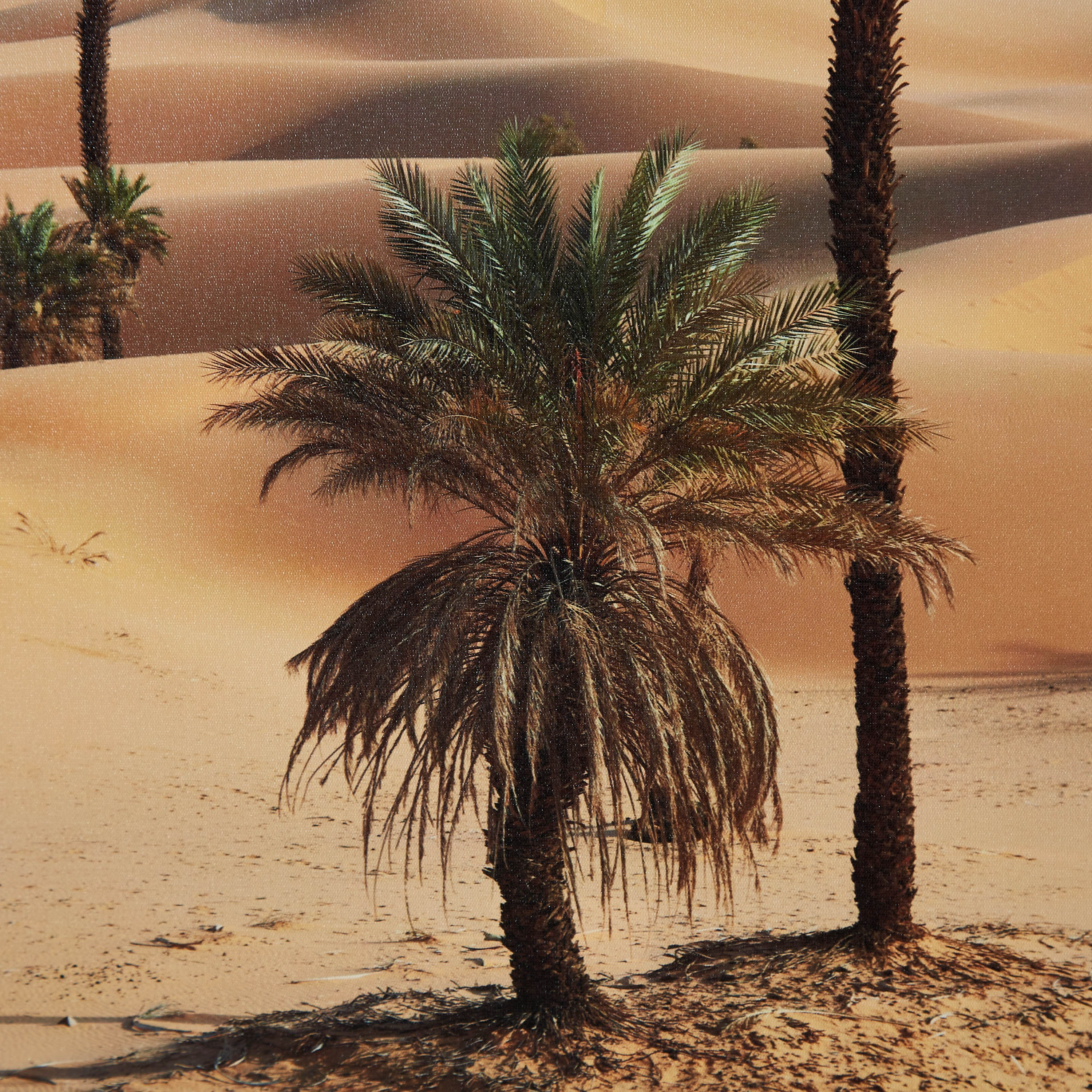 زينة حائط كانفاس مؤطرة بطبعات نخلة من جالا - 50x70x2.8 سم-hbxhomeware-hbxdecorandfurnishings-image-3