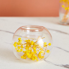 حامل شموع صغيرة زجاج شفاف مملوء بزهور مجففة من أوريك ديكو
