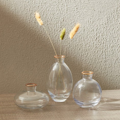 Auric Clear Glass Vase - Set of 3