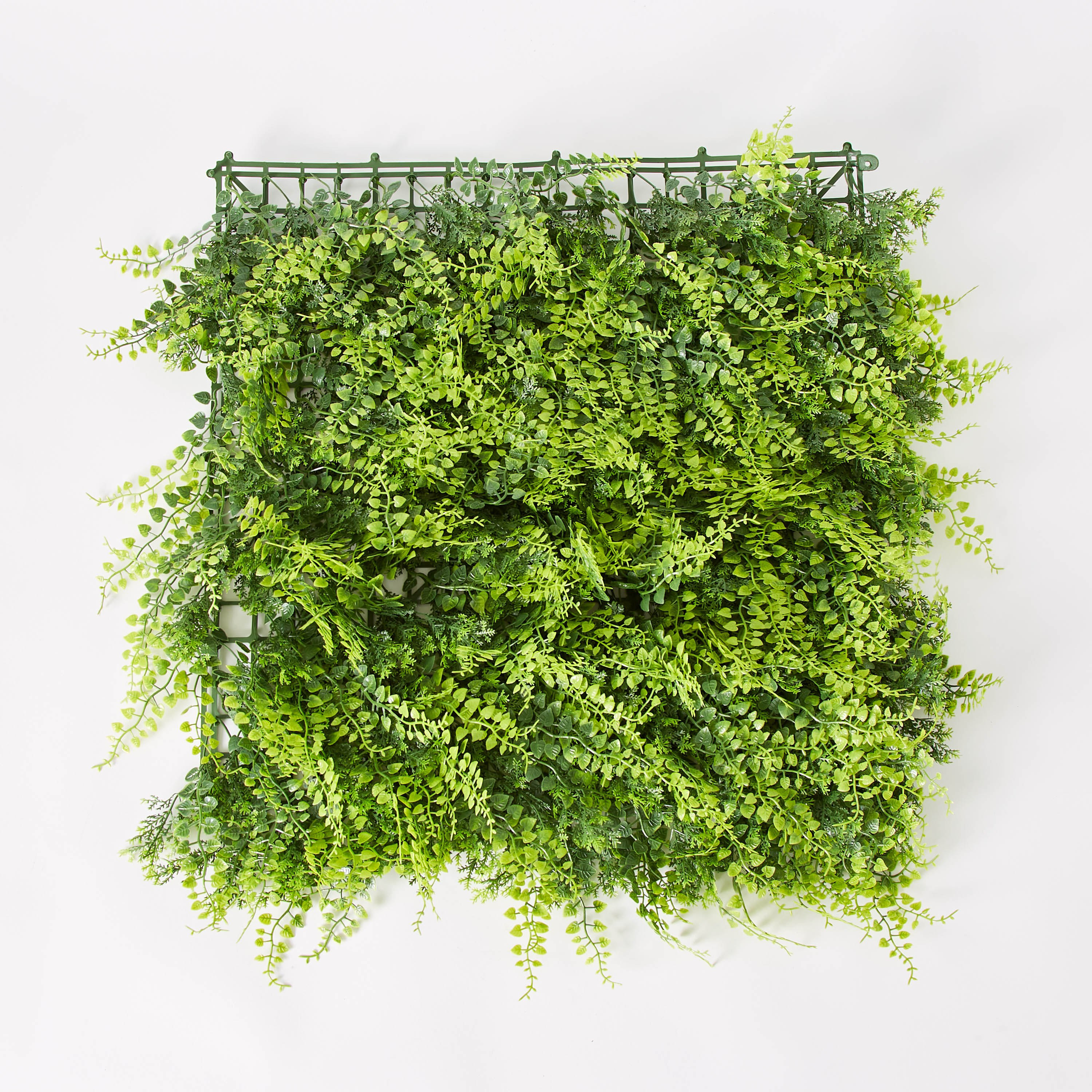حزمة سرخس ديكور من ميدوز - 50×50 سم-hbxdecorandfurnishings-homeaccessories-artificialflowersandplants-image-6
