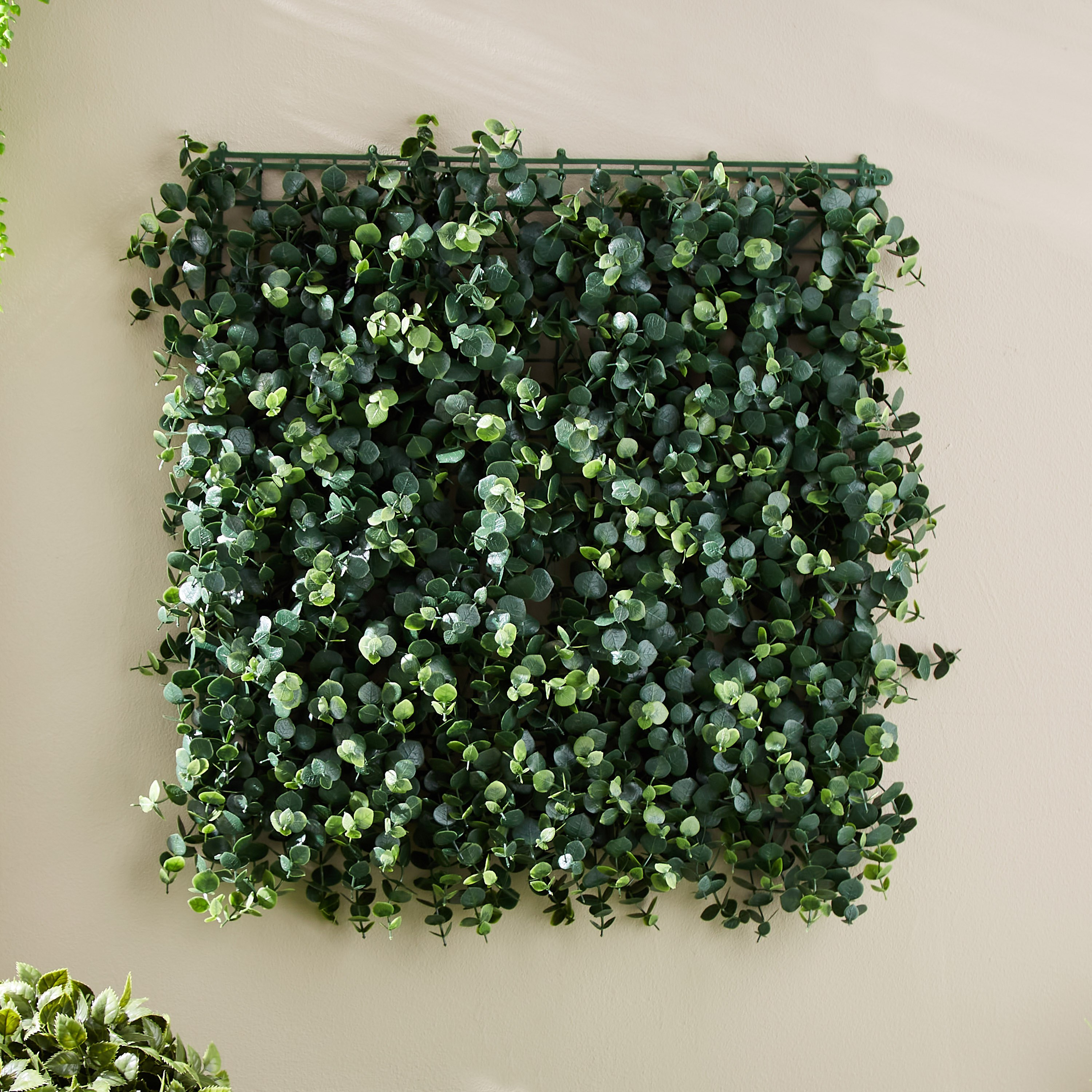 لوحة بتصميم شجرة الكينا من ميدوز - 50×50 سم-hbxdecorandfurnishings-homeaccessories-artificialflowersandplants-image-2