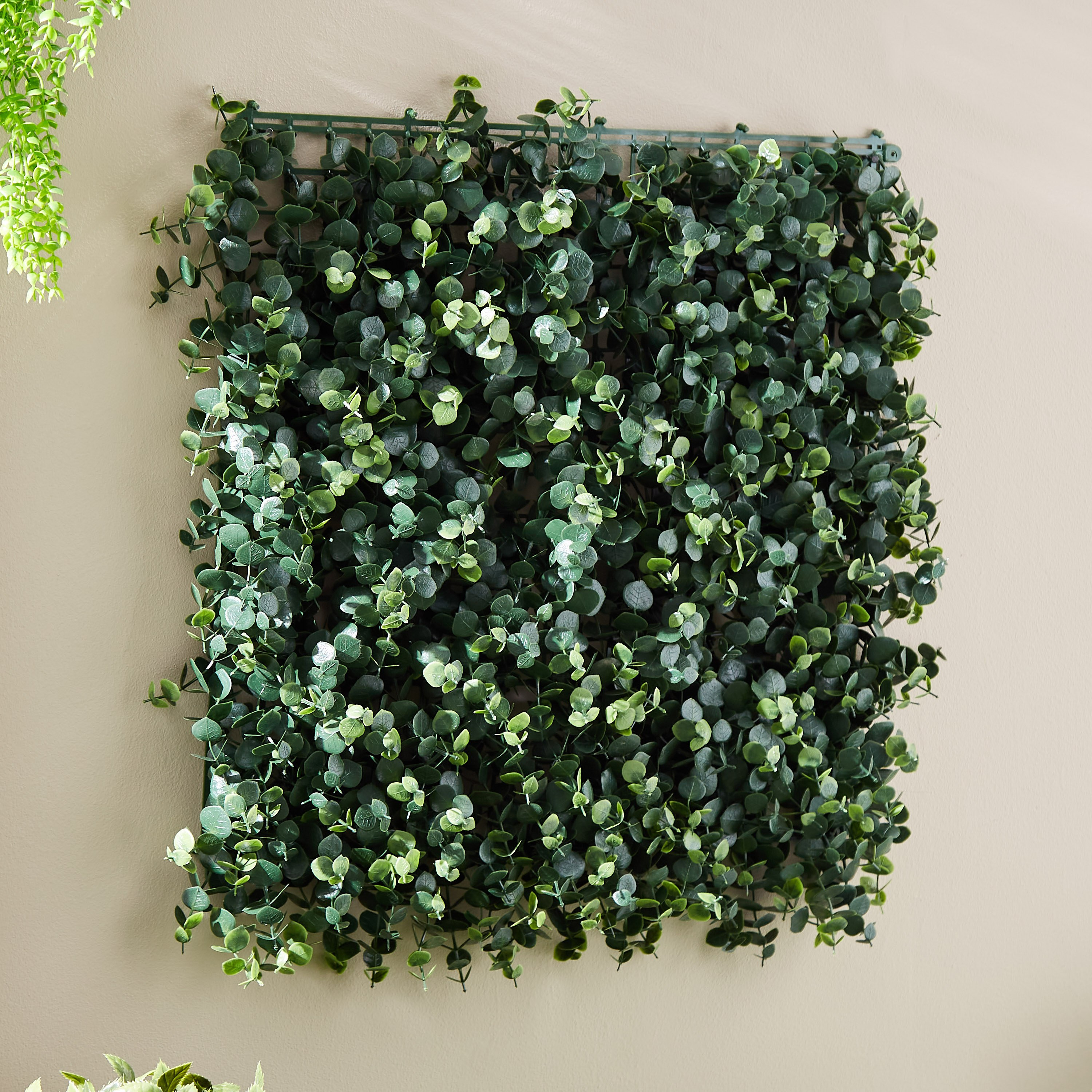 لوحة بتصميم شجرة الكينا من ميدوز - 50×50 سم-hbxdecorandfurnishings-homeaccessories-artificialflowersandplants-image-3