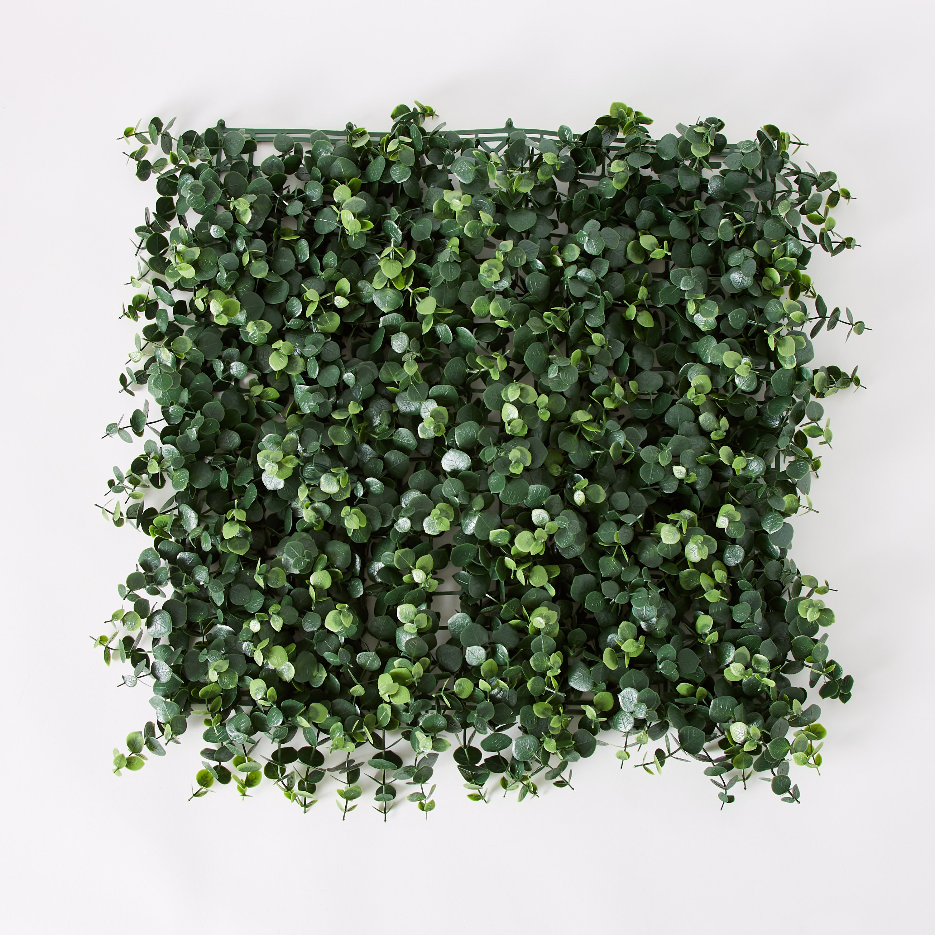 لوحة بتصميم شجرة الكينا من ميدوز - 50×50 سم-hbxdecorandfurnishings-homeaccessories-artificialflowersandplants-image-6