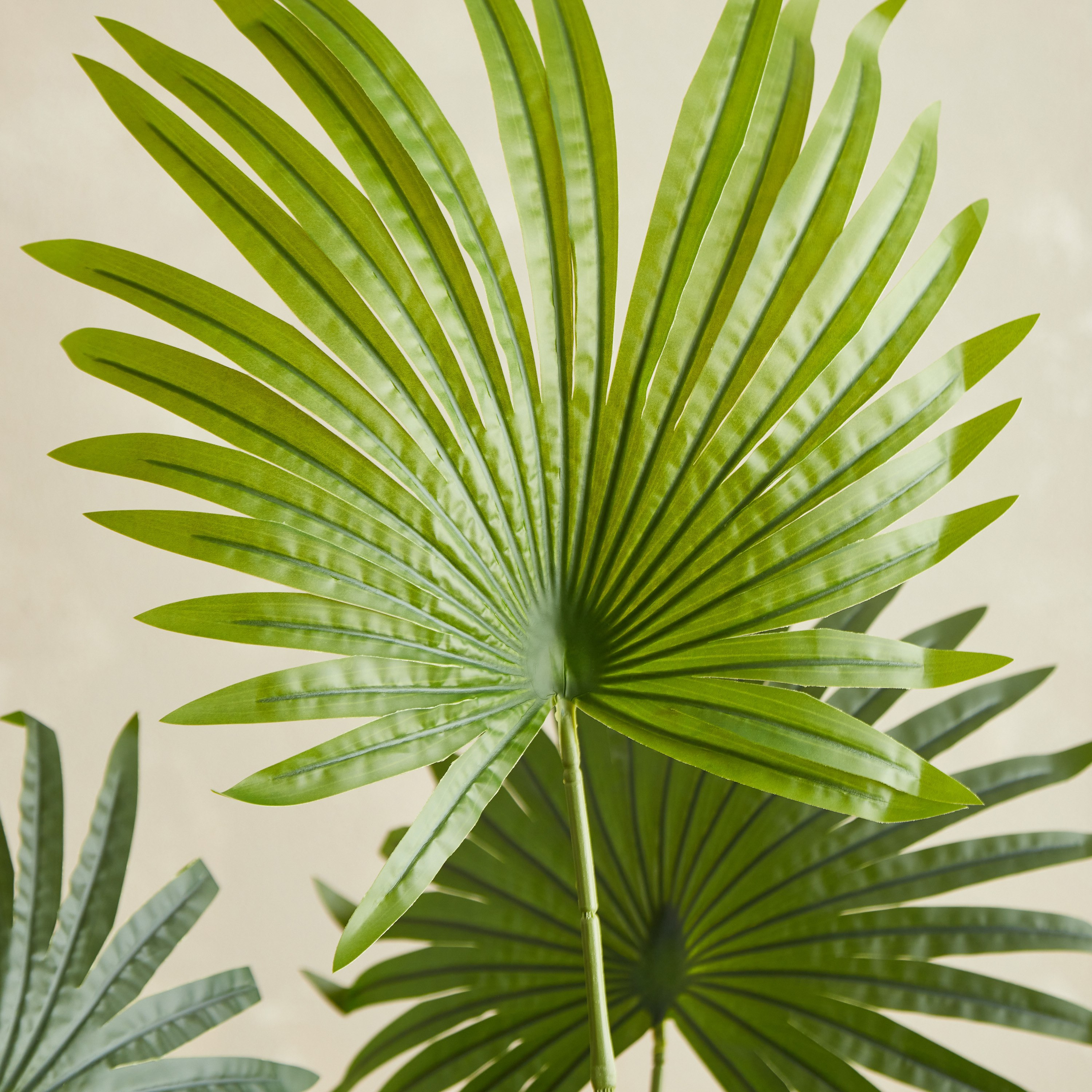 شجرة نخلة من تيودورا - 120 سم-hbxdecorandfurnishings-homeaccessories-artificialflowersandplants-image-2