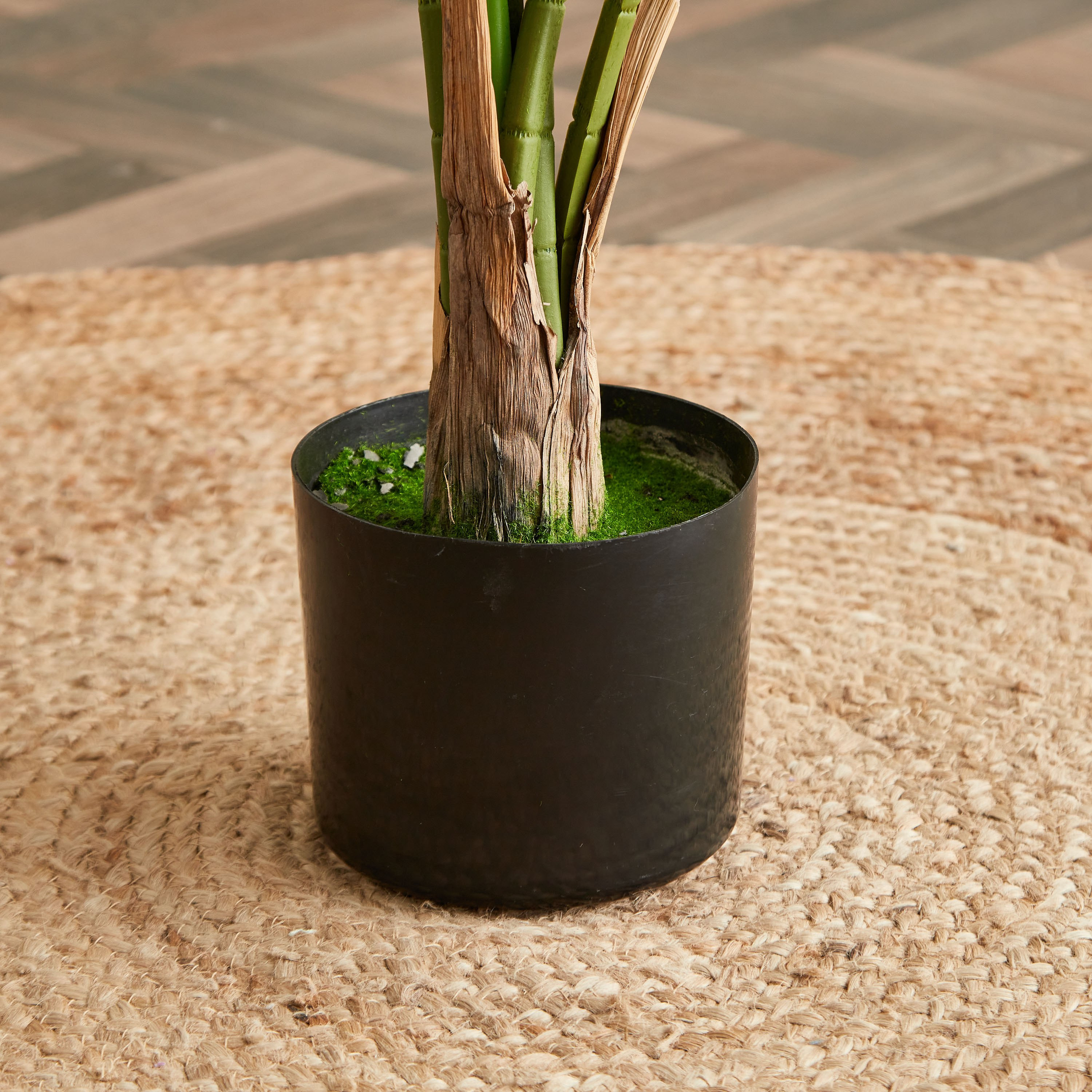 شجرة نخلة من تيودورا - 120 سم-hbxdecorandfurnishings-homeaccessories-artificialflowersandplants-image-3