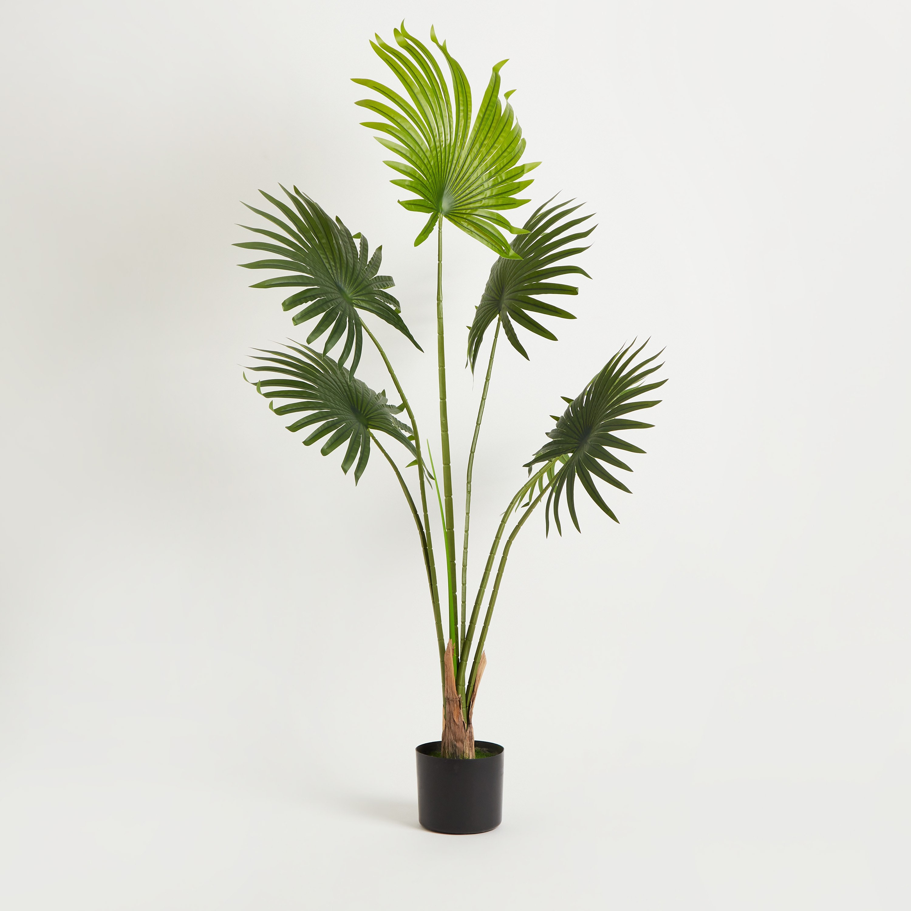 شجرة نخلة من تيودورا - 120 سم-hbxdecorandfurnishings-homeaccessories-artificialflowersandplants-image-5