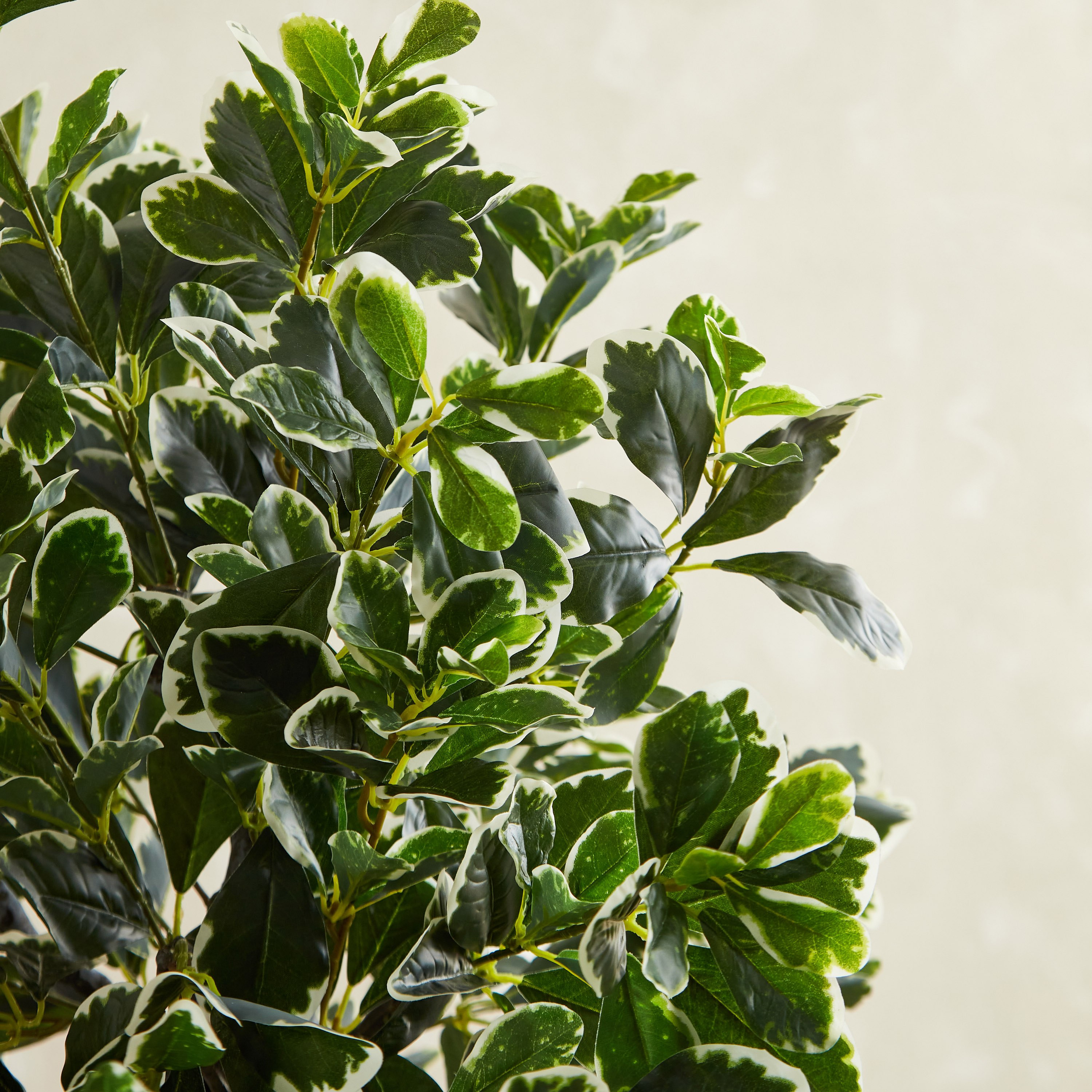 شجرة اللبخ من تيودورا - 120 سم-hbxdecorandfurnishings-homeaccessories-artificialflowersandplants-image-2