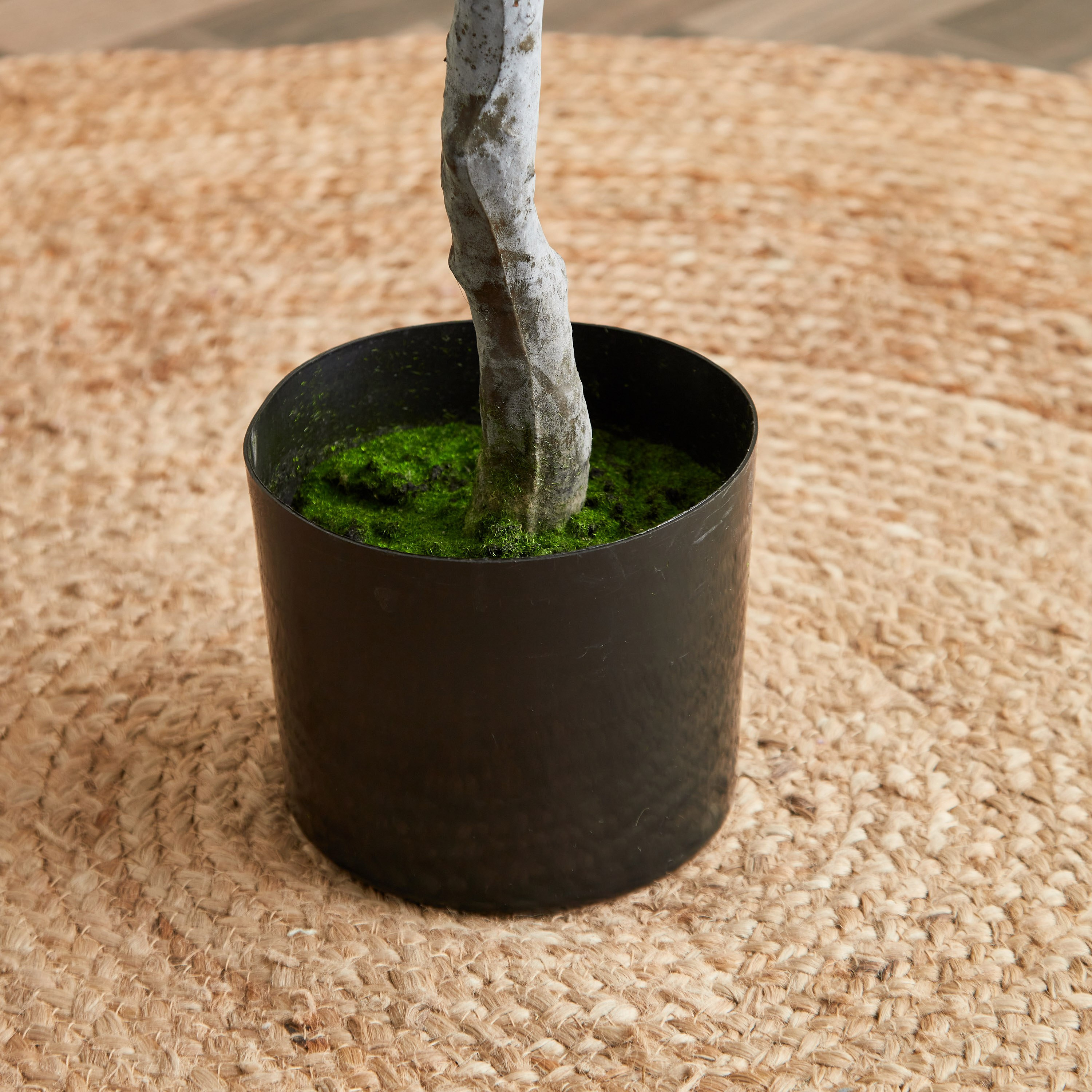شجرة اللبخ من تيودورا - 120 سم-hbxdecorandfurnishings-homeaccessories-artificialflowersandplants-image-3