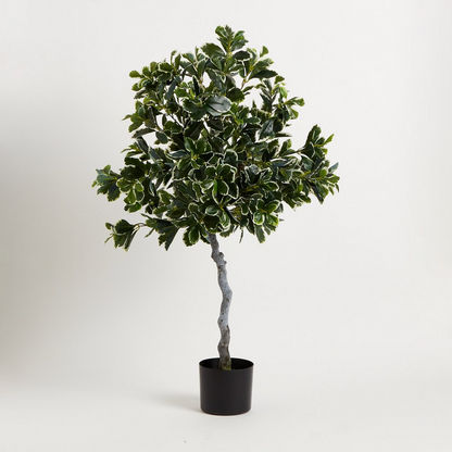 Teodora Ficus Tree - 120 cm