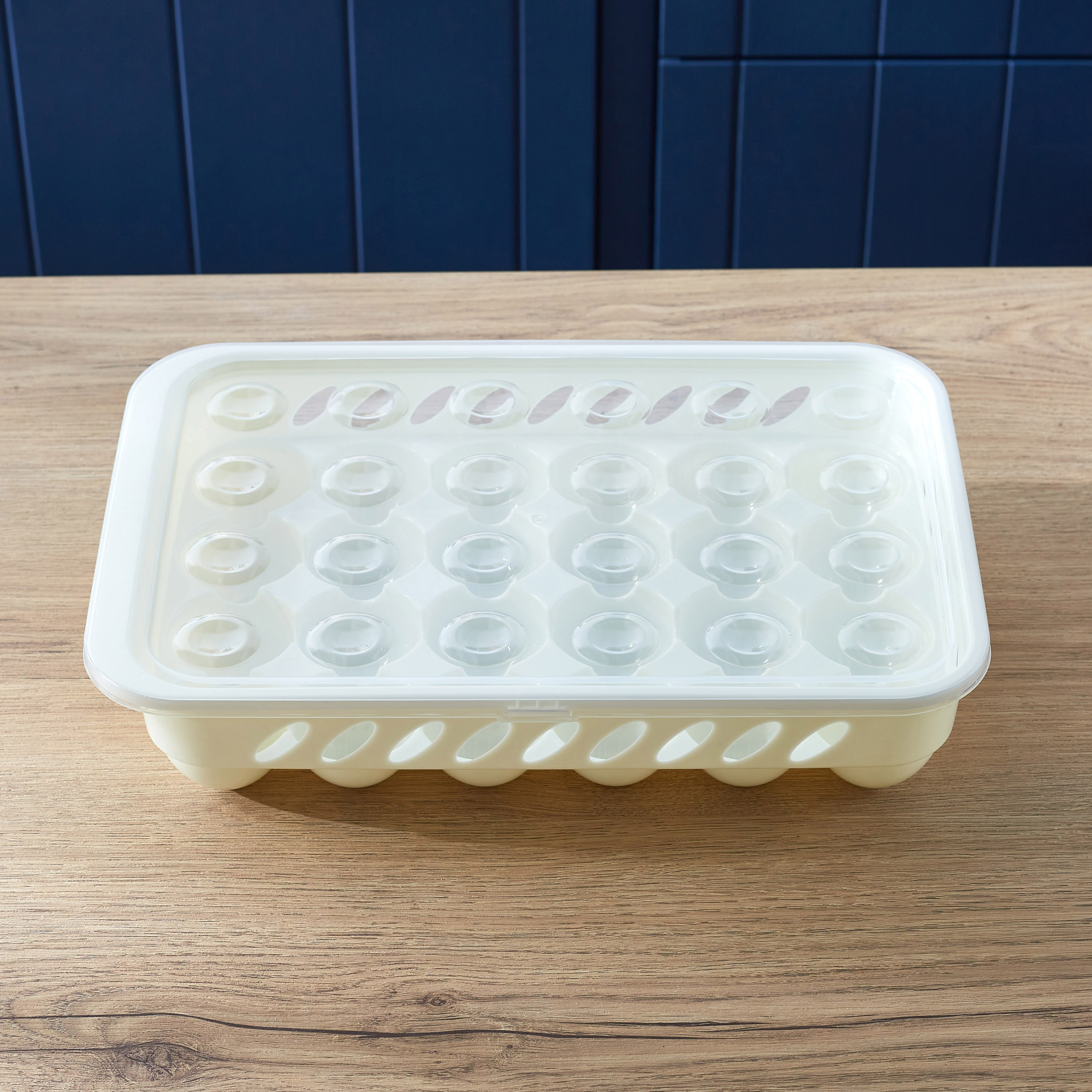 صندوق تخزين 24 بيضة من ريفا - 32.6×22.2×7 سم-hbxkitchen-kitchenware-kitchenaccessories-image-2